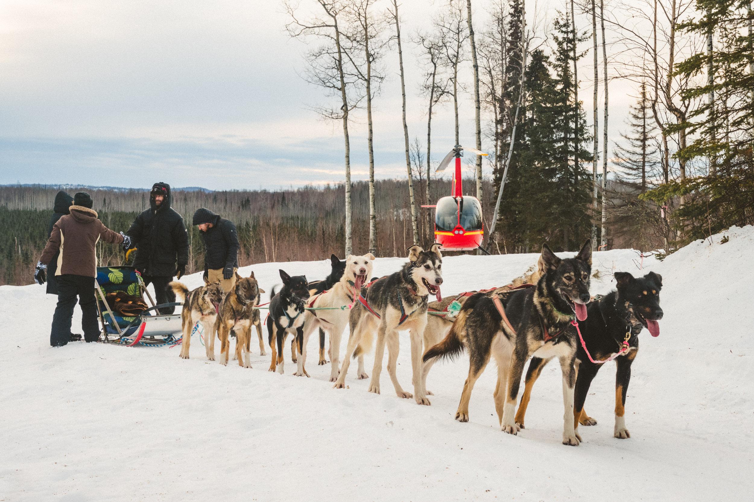 Helicopter Dog Sledding & Knik Glacier Landing Tour