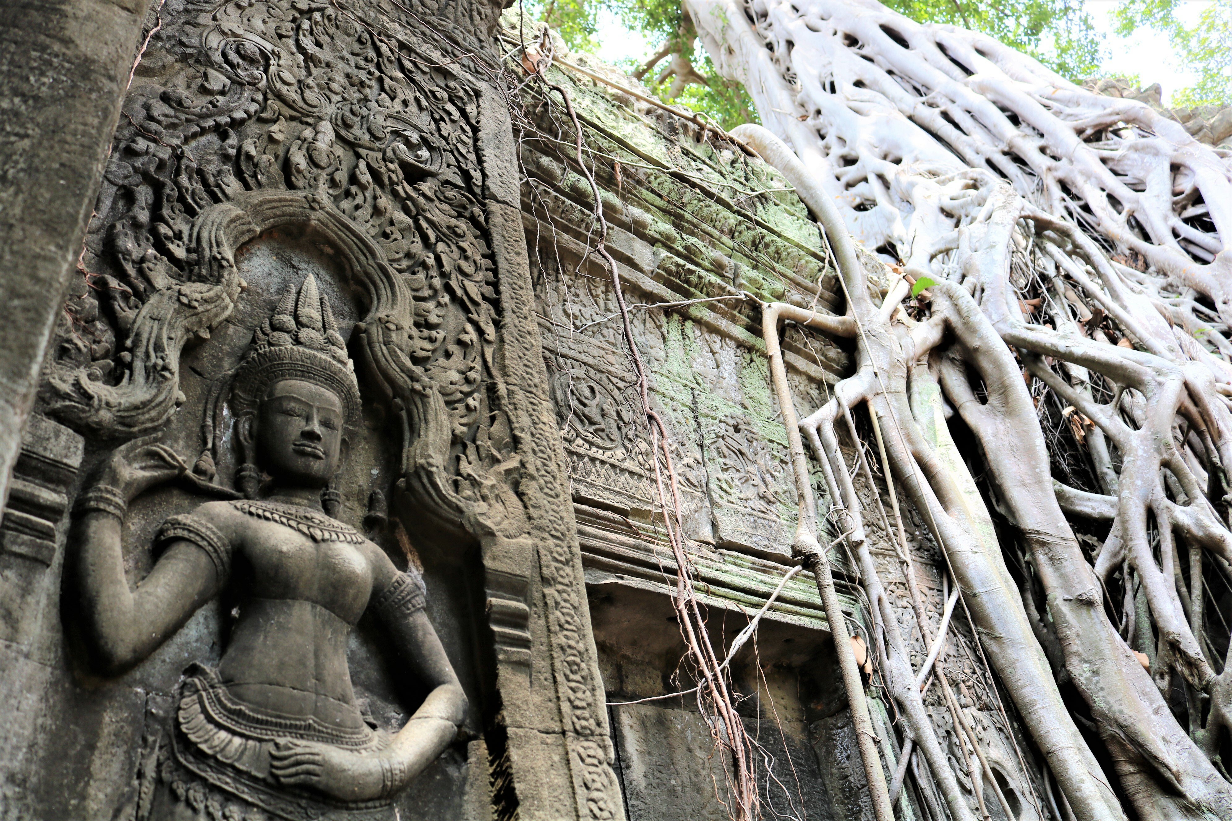 Angkor Wat Sunrise & Tonle Sap 2.5-Day Small Group Expedition