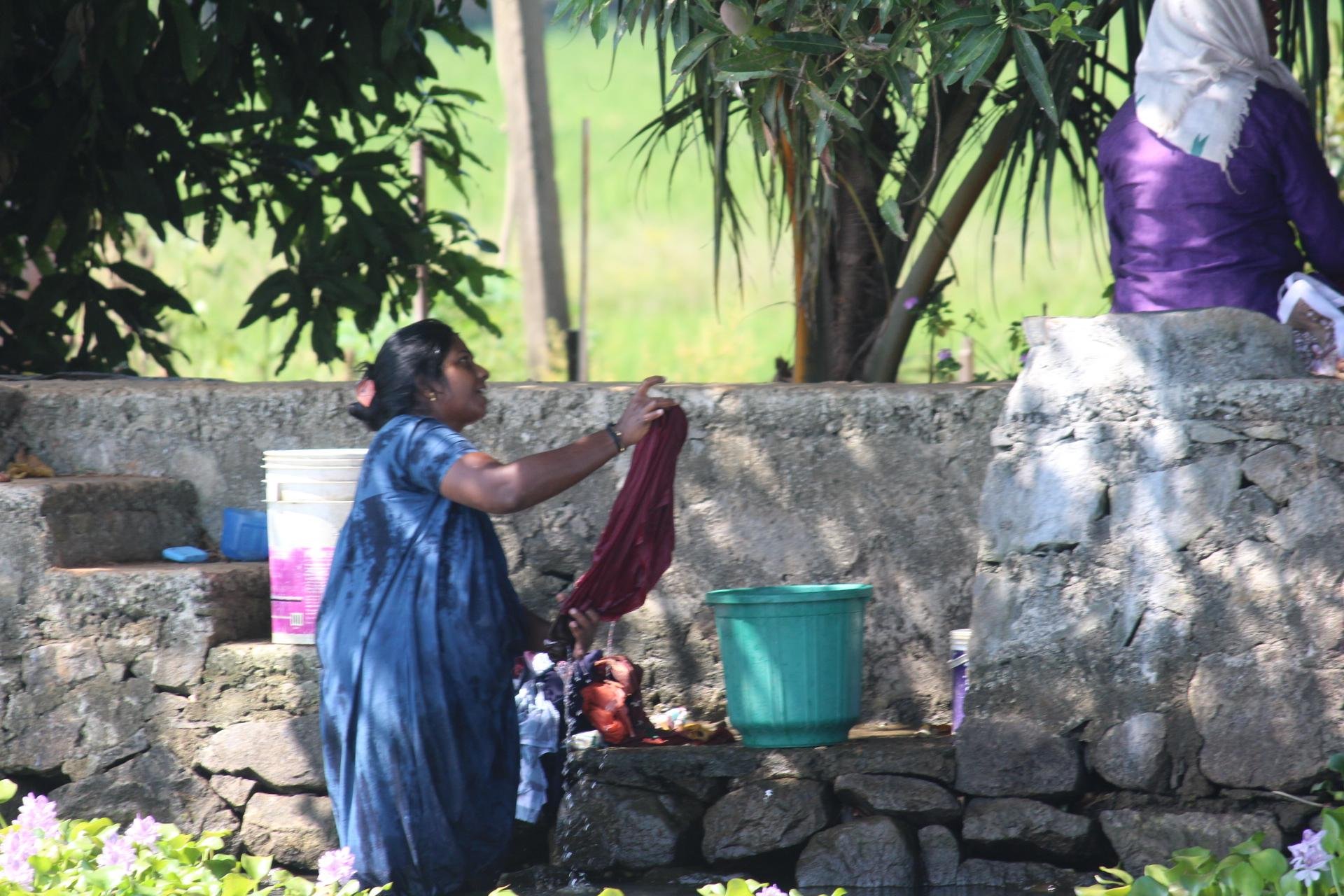 Kochi Backwater Village Immersion with Traditional Sadya Lunch