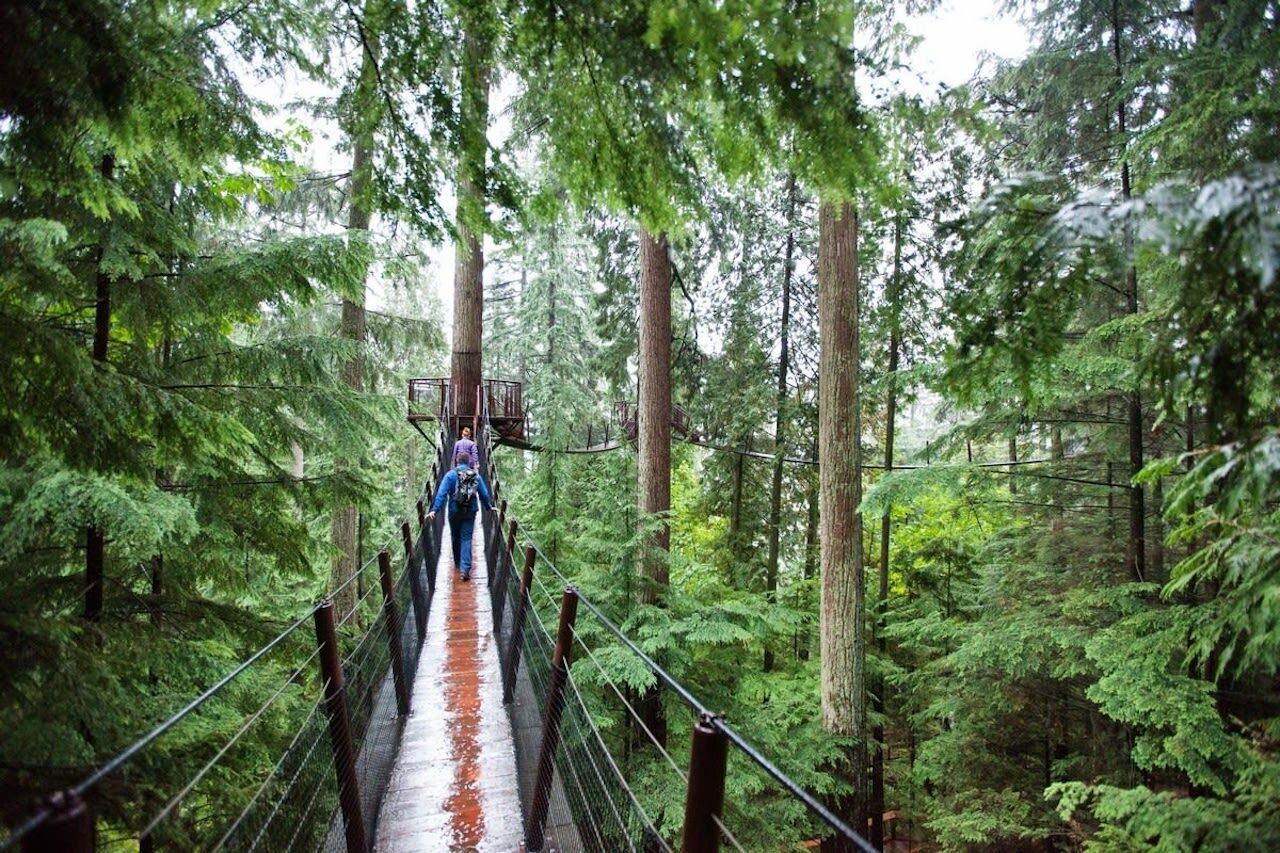 Vancouver Highlights: Capilano Bridge, Grouse Mountain & Lookout