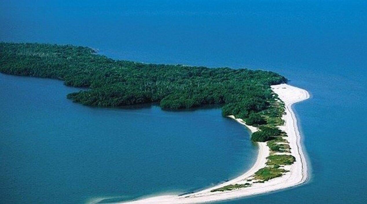 Saona Island VIP 4-Beach Experience with Lunch