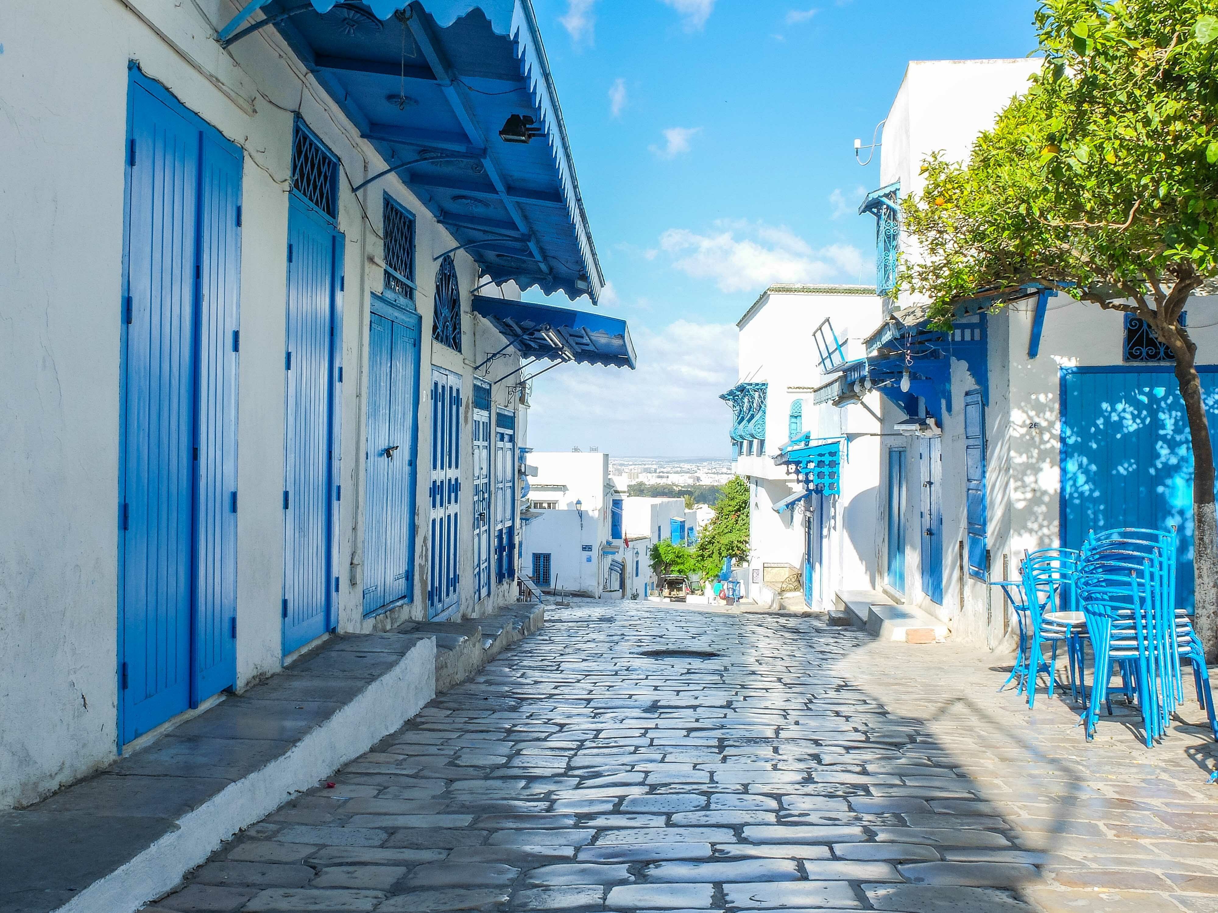 Tunis Medina, Bardo, Carthage & Sidi Bou Said Day Tour
