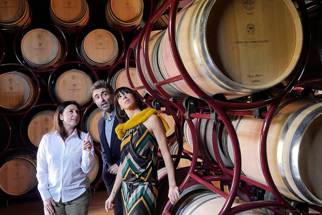 Bolgheri Vineyard Tour & Wine Tasting