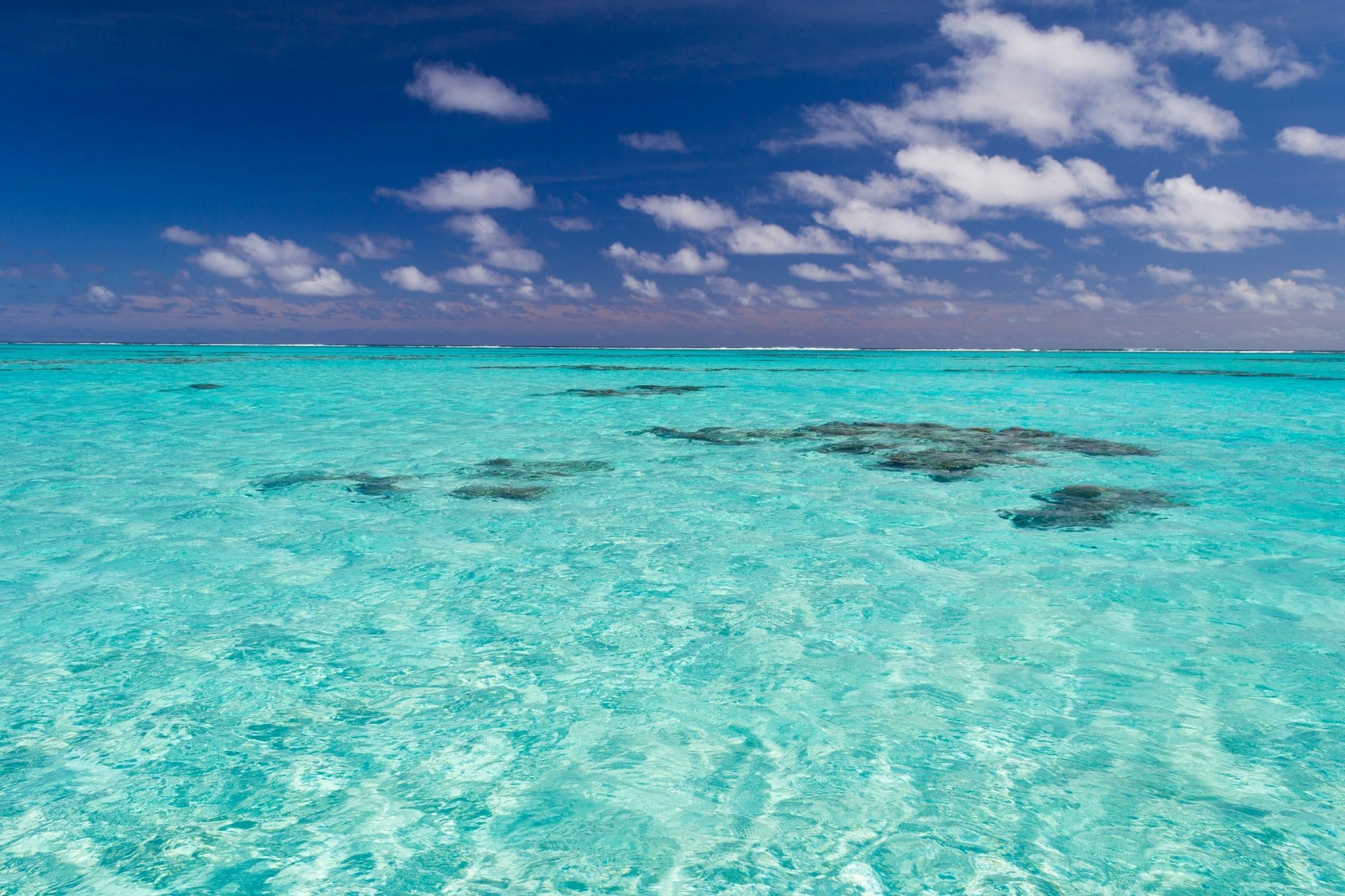 Saona Island Catamaran & Speedboat Expedition