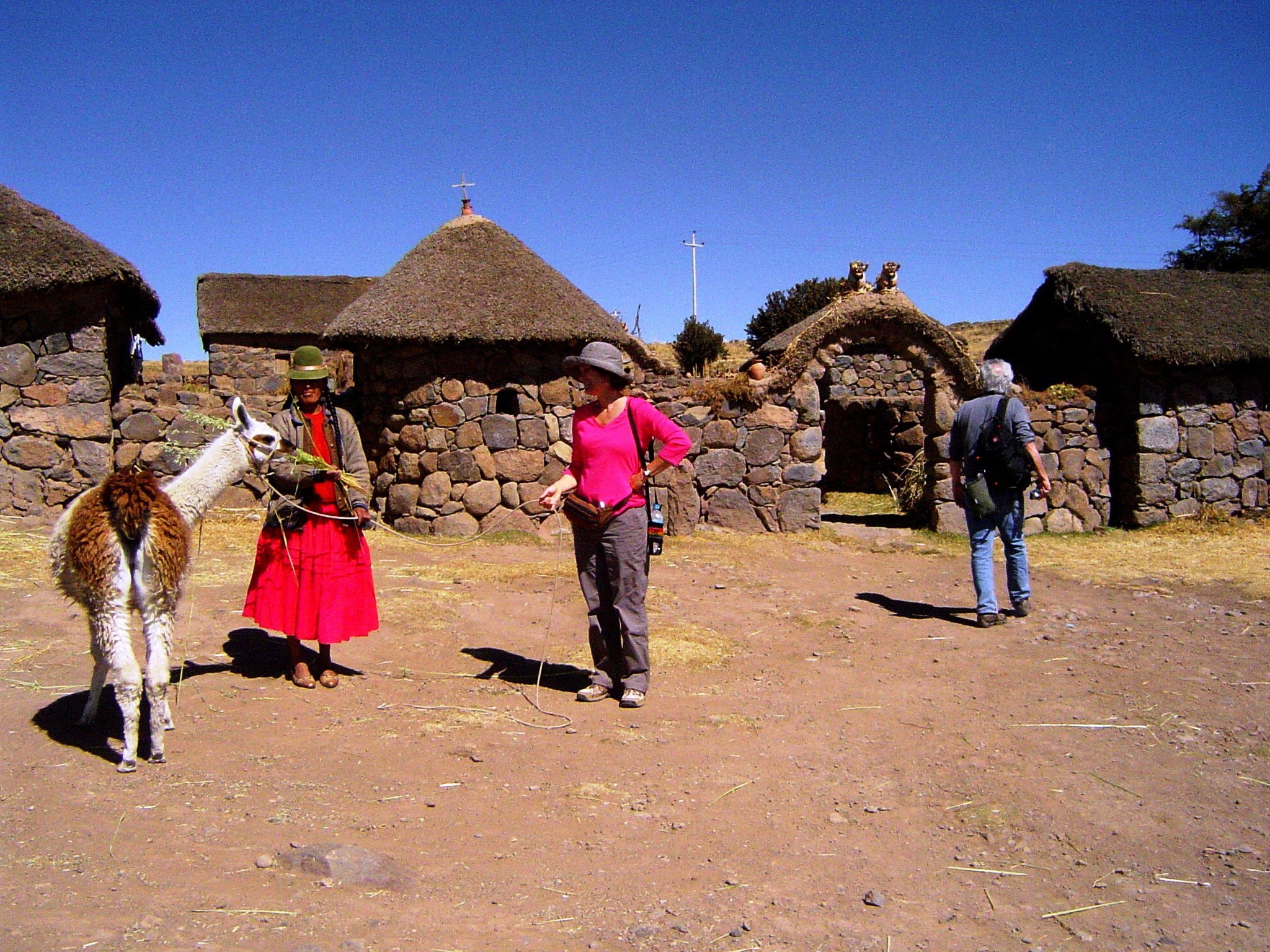 Sillustani tour from Puno — image 4