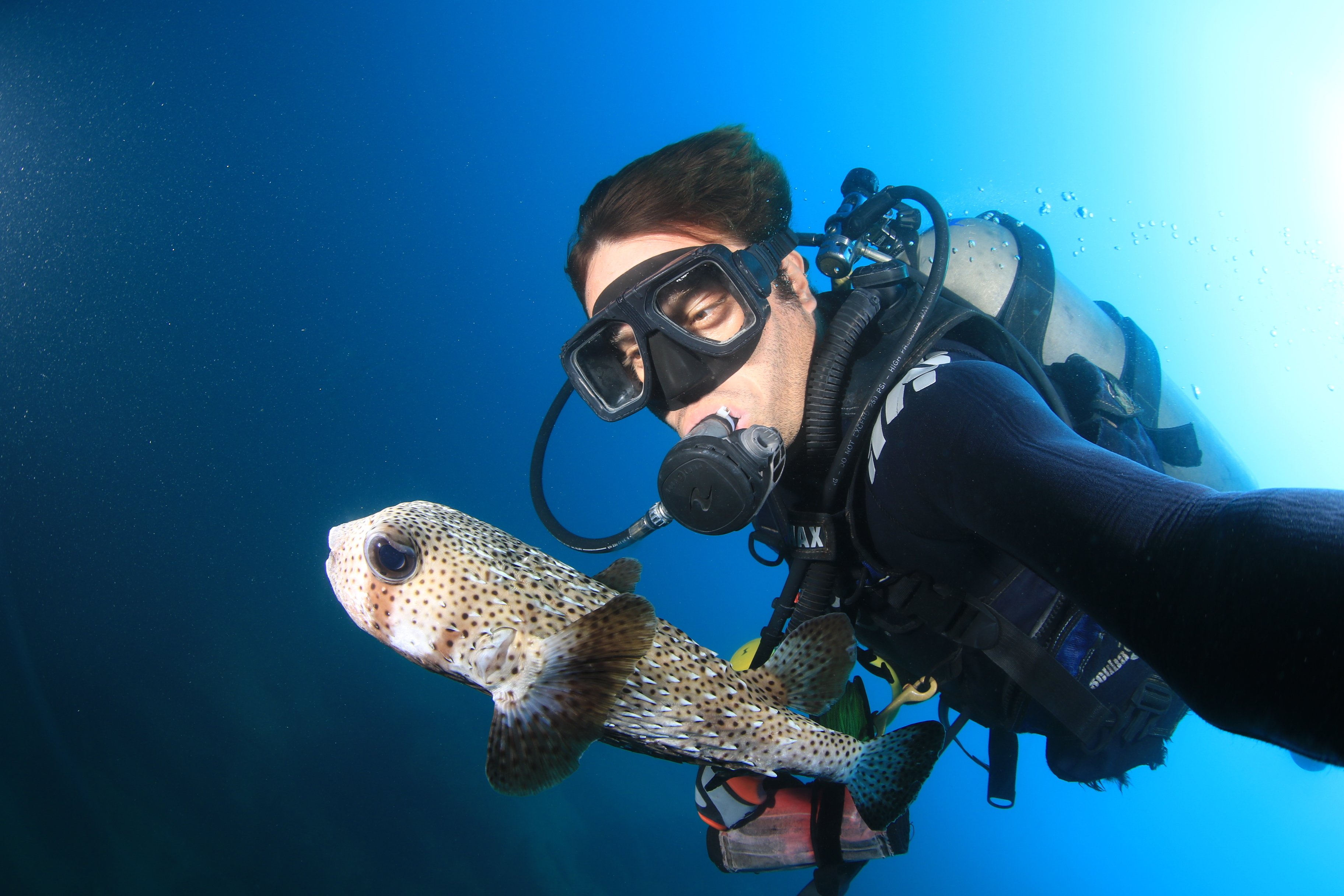 Los Cabos Introductory Scuba Diving Adventure in the Sea of Cortez