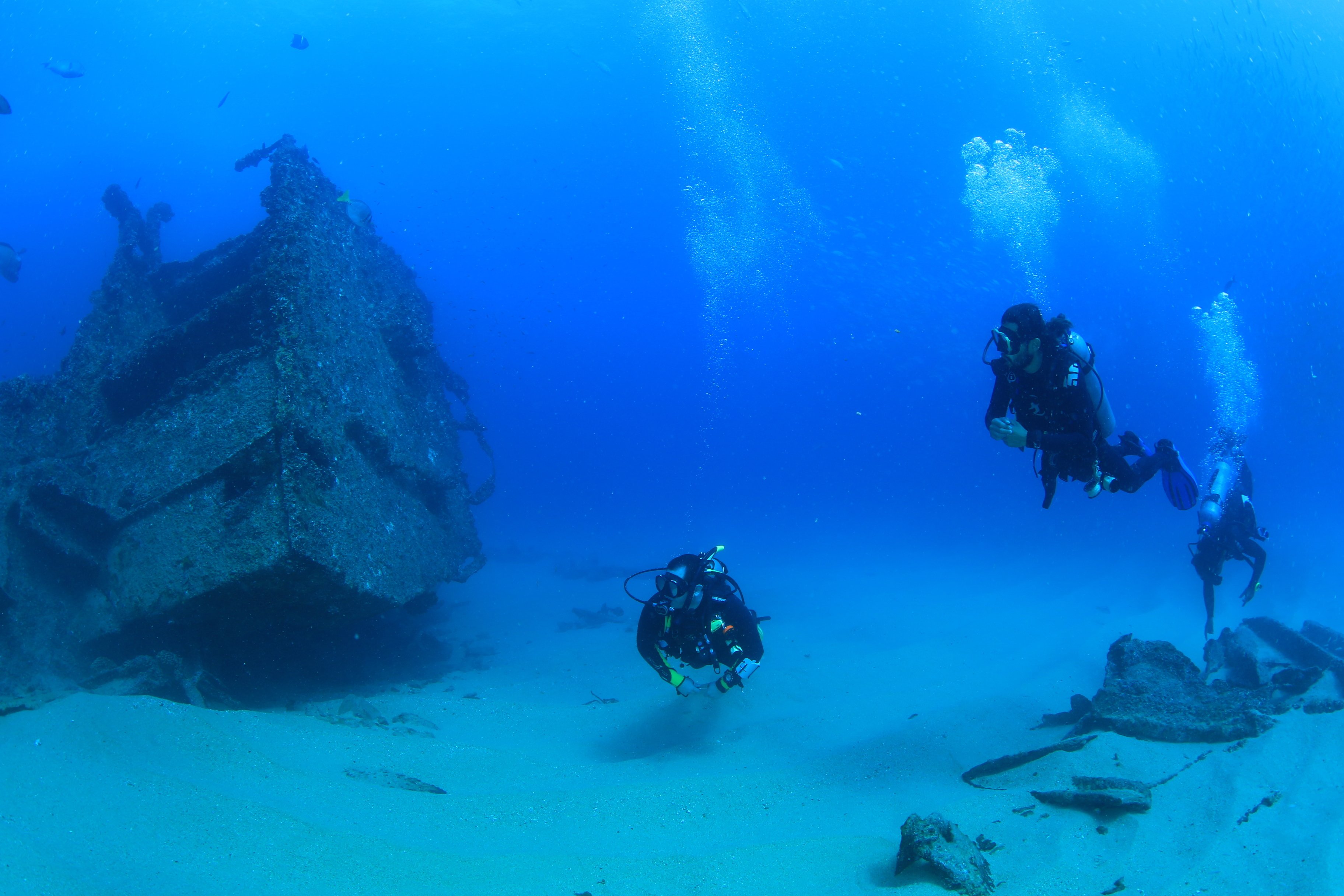 Los Cabos Introductory Scuba Diving Adventure in the Sea of Cortez