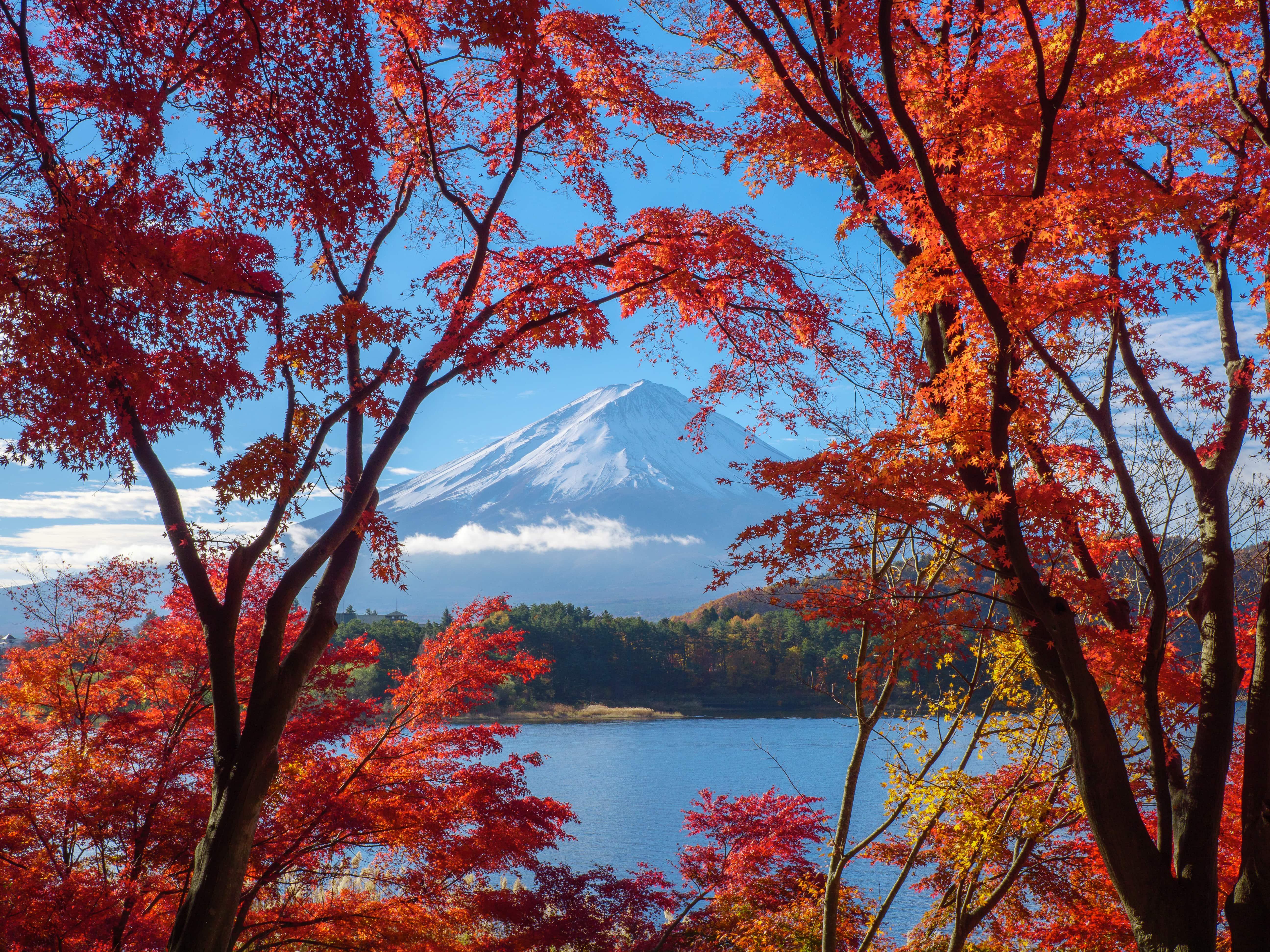 From Tokyo: Private Tour to Fuji/Hakone - Onsen, Art, Nature — Japanese onsen experience photo 15