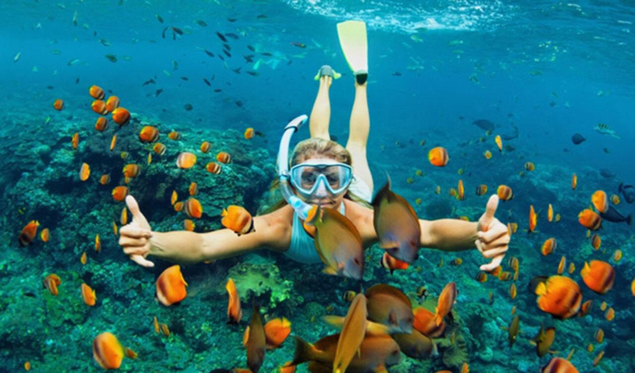 Cham Islands Speedboat Snorkeling Trip with Lunch from Hoi An