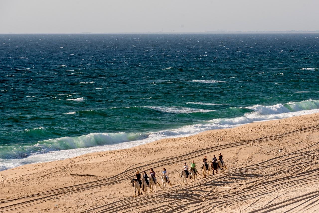 Melides Coastal Horse Ride & Wine Tasting
