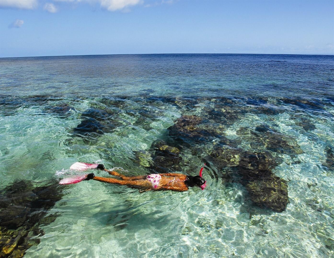 Monkey & Sloth Sanctuary with Snorkeling Adventure