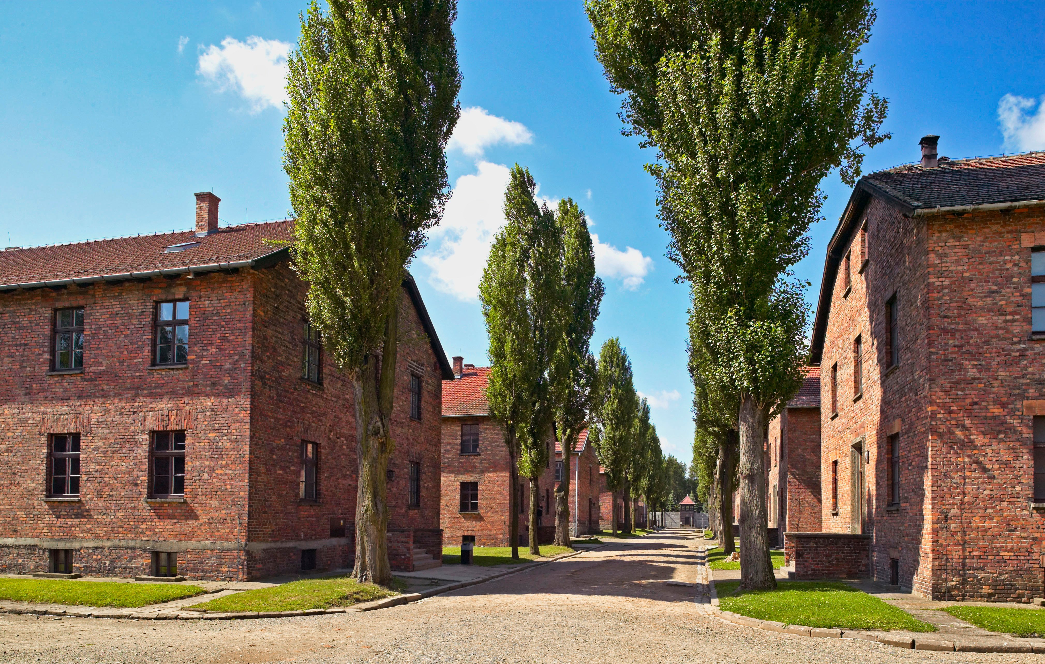 Krakow: Auschwitz Guided Tour with Optional Hotel Pickup - 2026 (Verified Reviews)