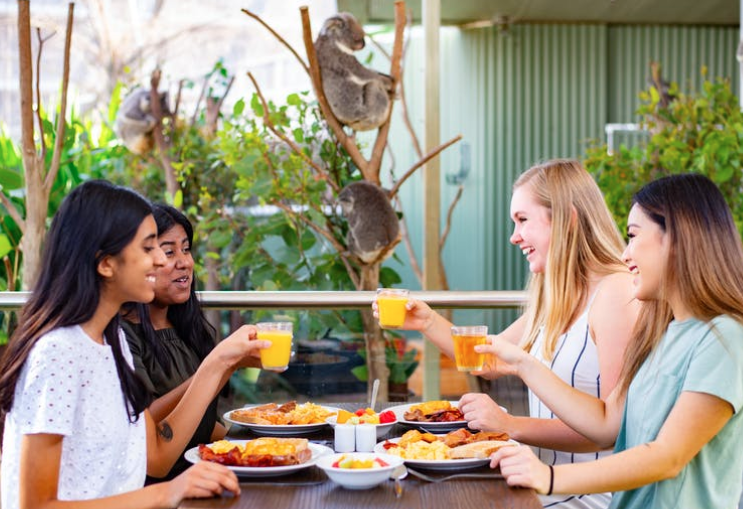 Breakfast with Koalas – WILD LIFE Sydney Zoo