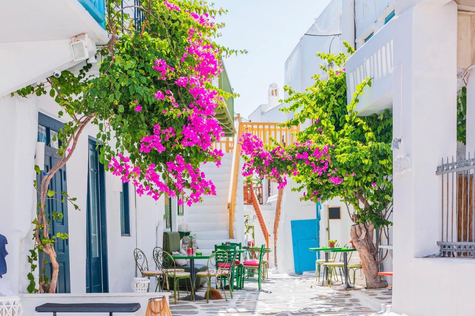 Mykonos Shore Excursion: Small-Group Island Tour from the Port
