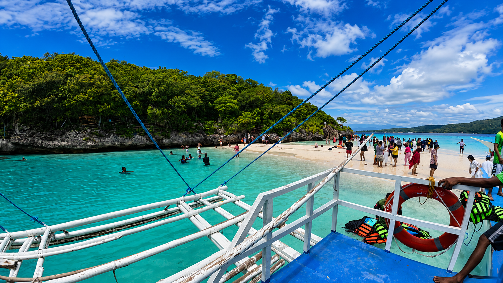 Cebu: Whale Sharks, Tumalog Falls & Sumilon Island Day Tour