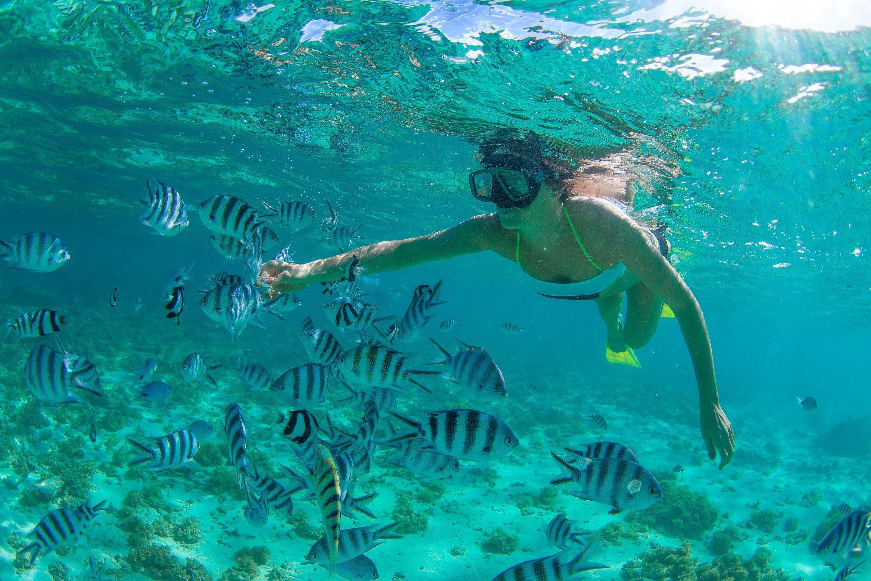 Cabo Pulmo Snorkeling Expedition