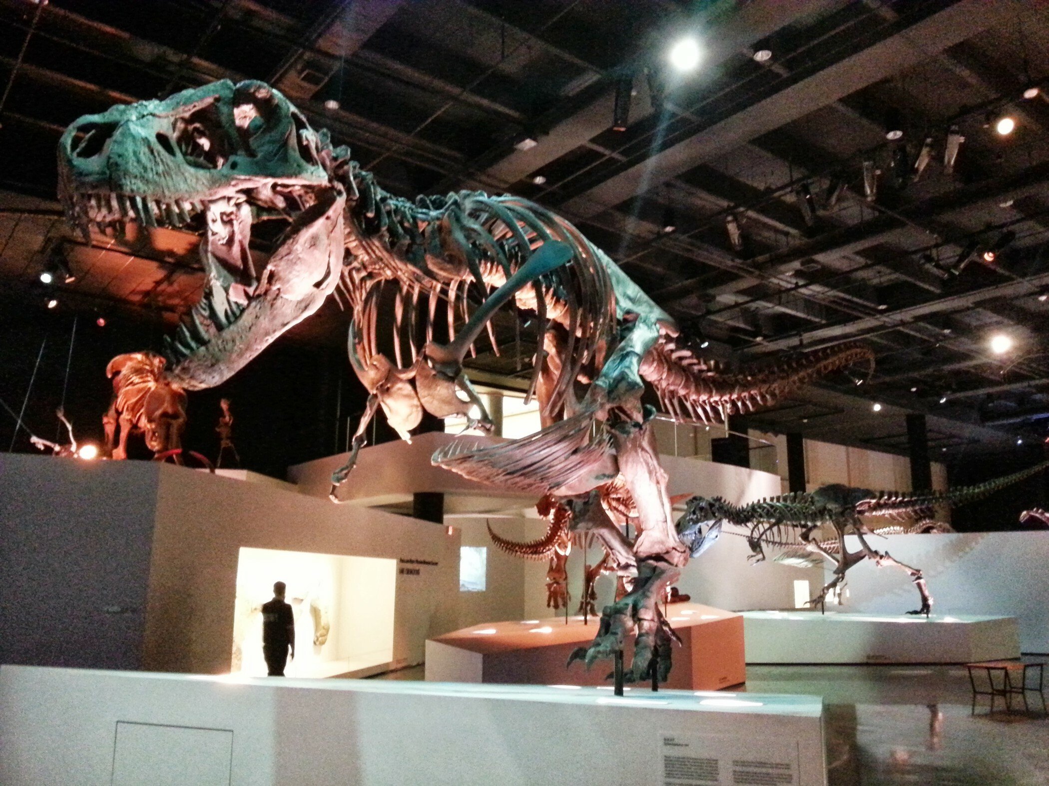 Houston CityPASS®: Save up to 51% at 5 Top Attractions - 2026 (Verified Reviews)