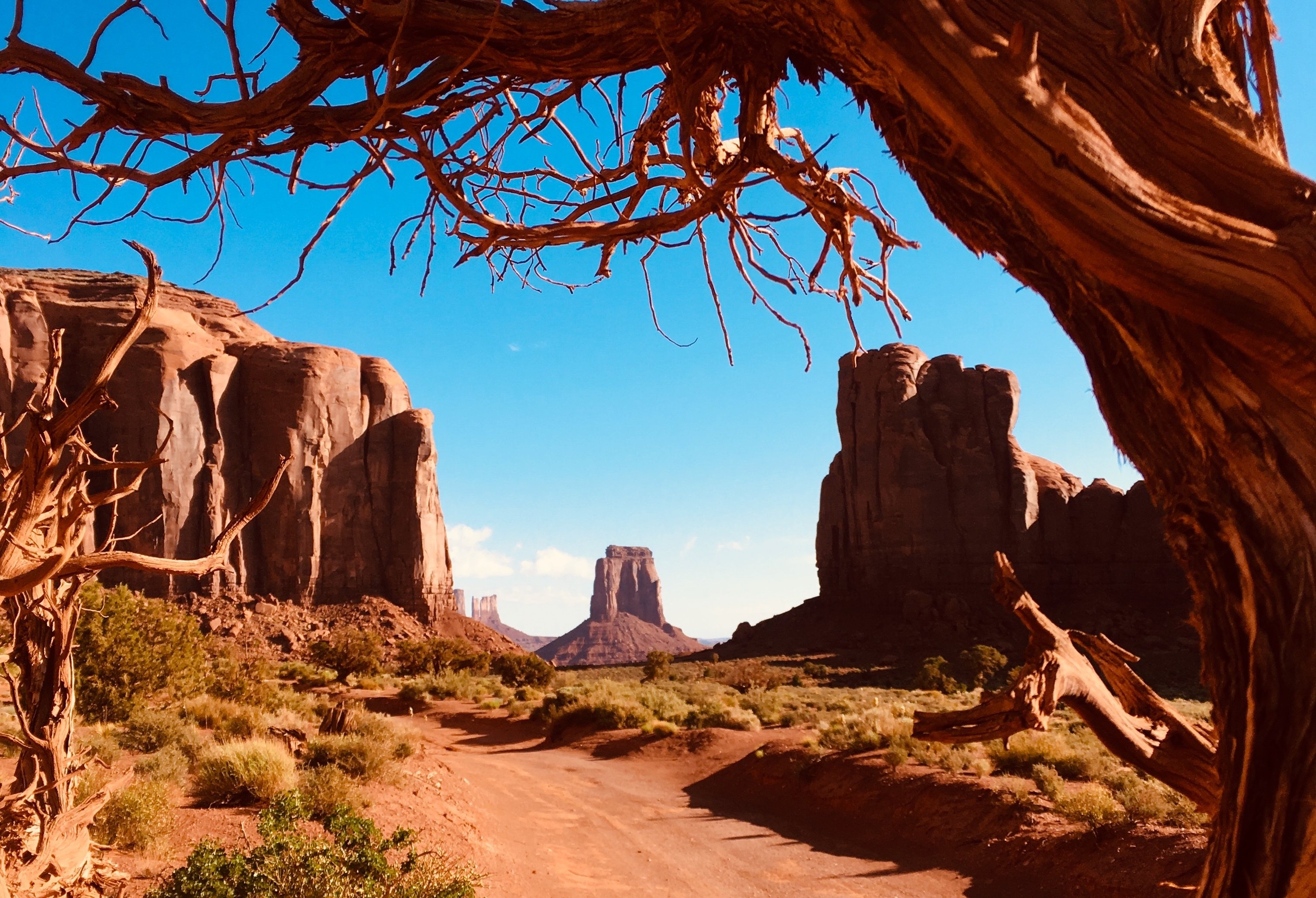 Monument Valley: Highlights Tour with Backcountry Access - 2026 (Verified Reviews)