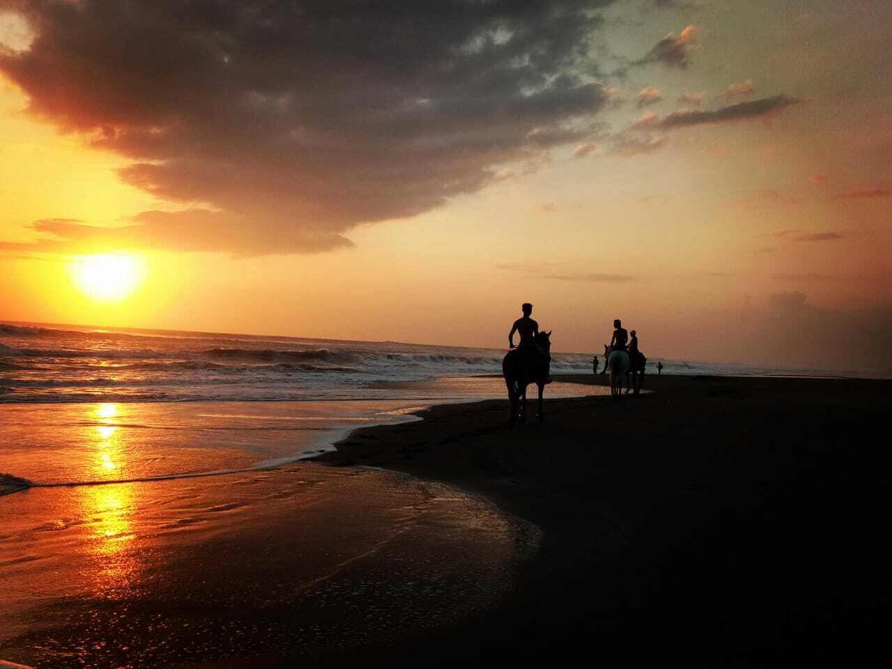 Bali Horseback Ride: Rice Fields & Pigstone Beach