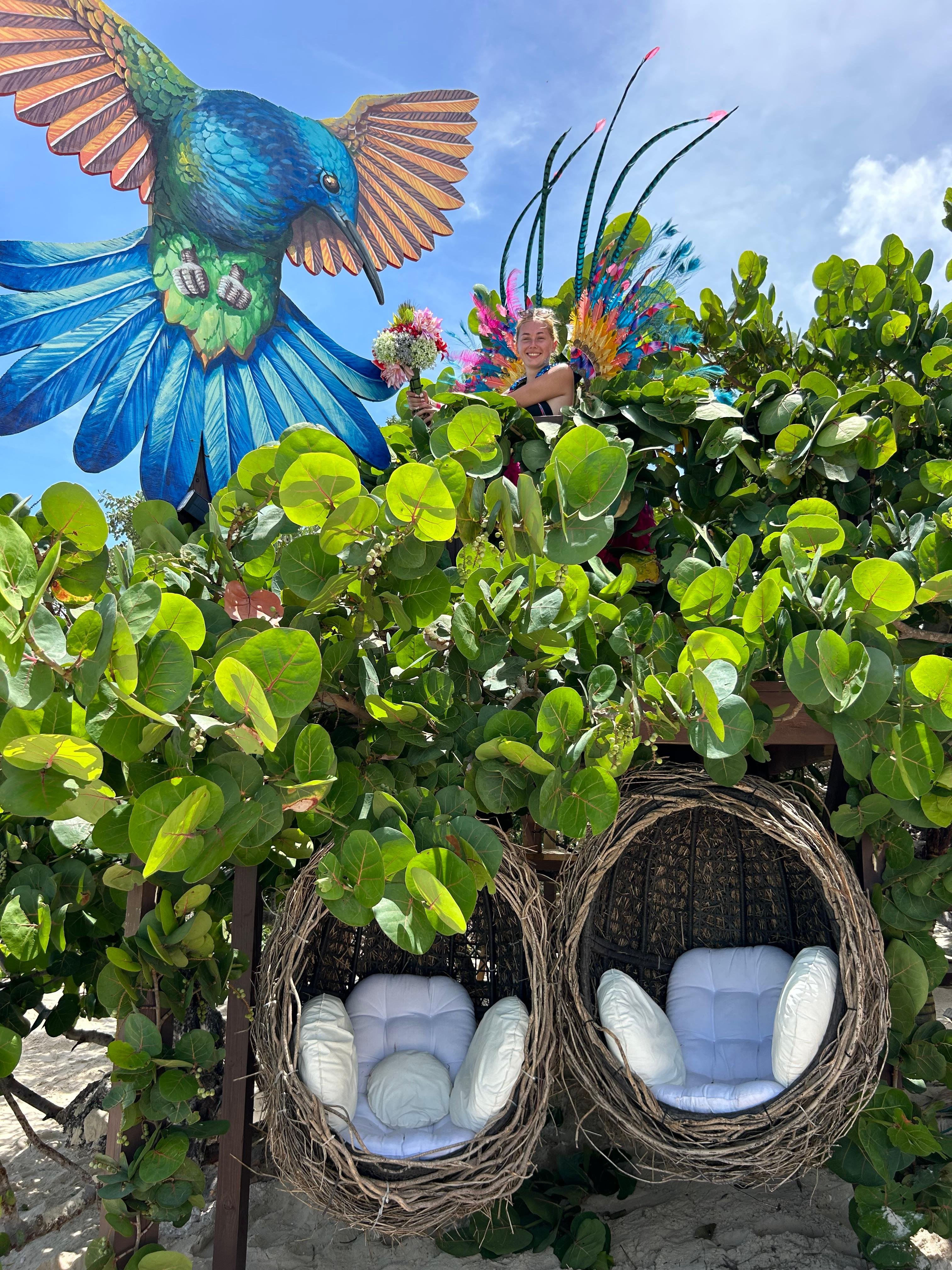 Nassau Powerboat Adventure: Snorkeling, Turtles & Private Beach Club