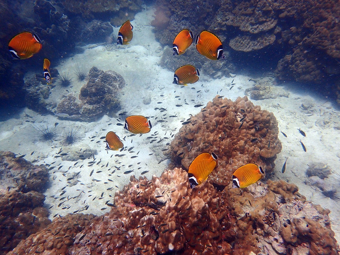 Ang Thong Marine Park Semi-Private Yacht Cruise from Koh Samui