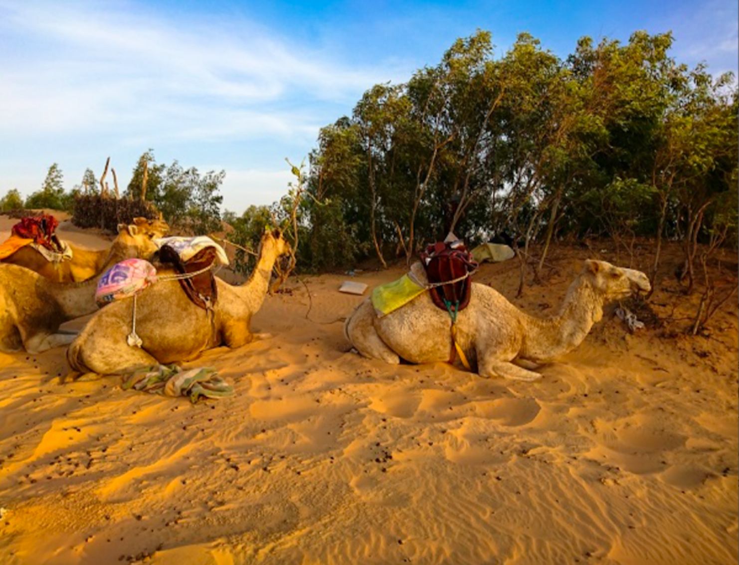 Pink Lake, Lompoul Desert & Saint-Louis Heritage Tour