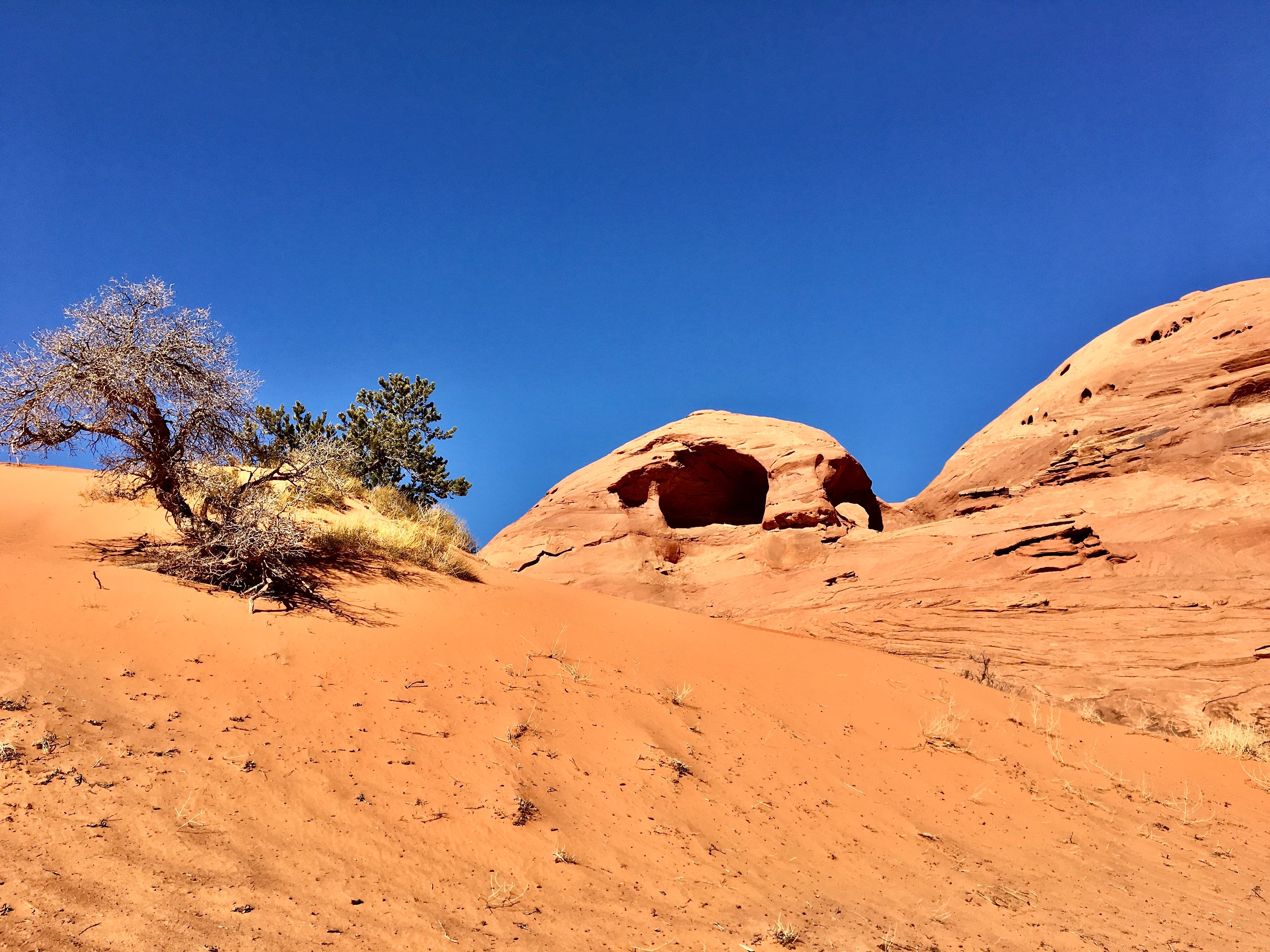Monument Valley tour with a Navajo guide — image 4