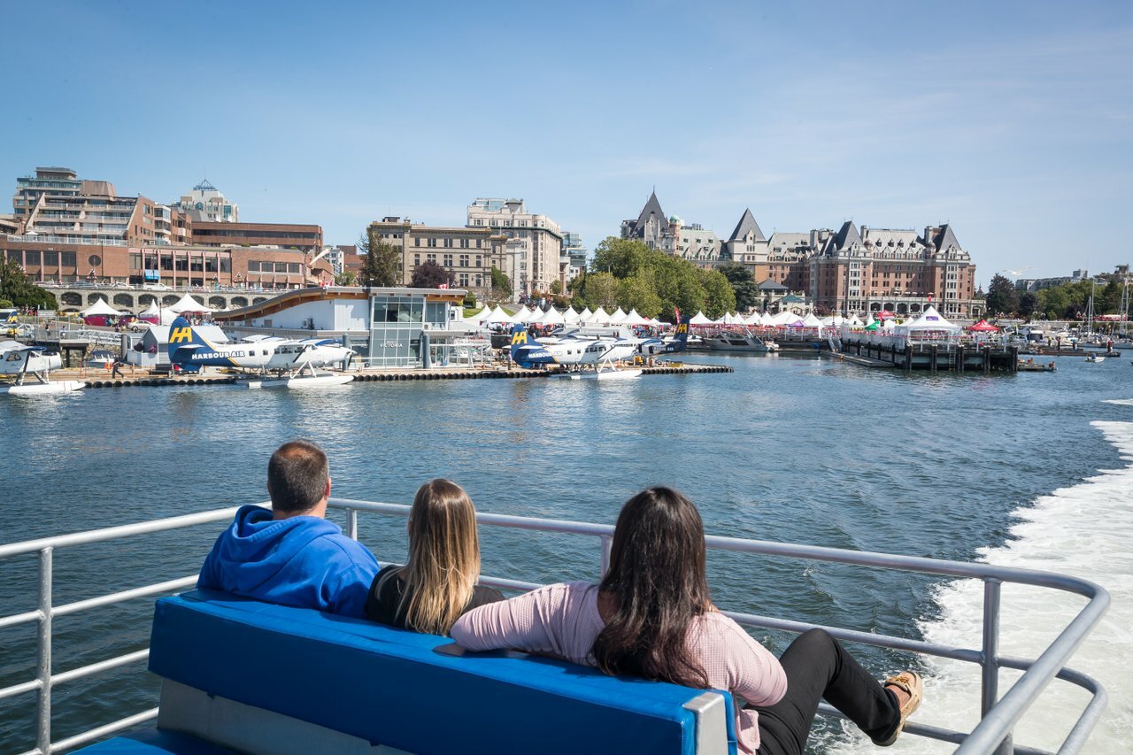 Vancouver whale watching tour — orcas and marine wildlife in the Salish Sea — image 16