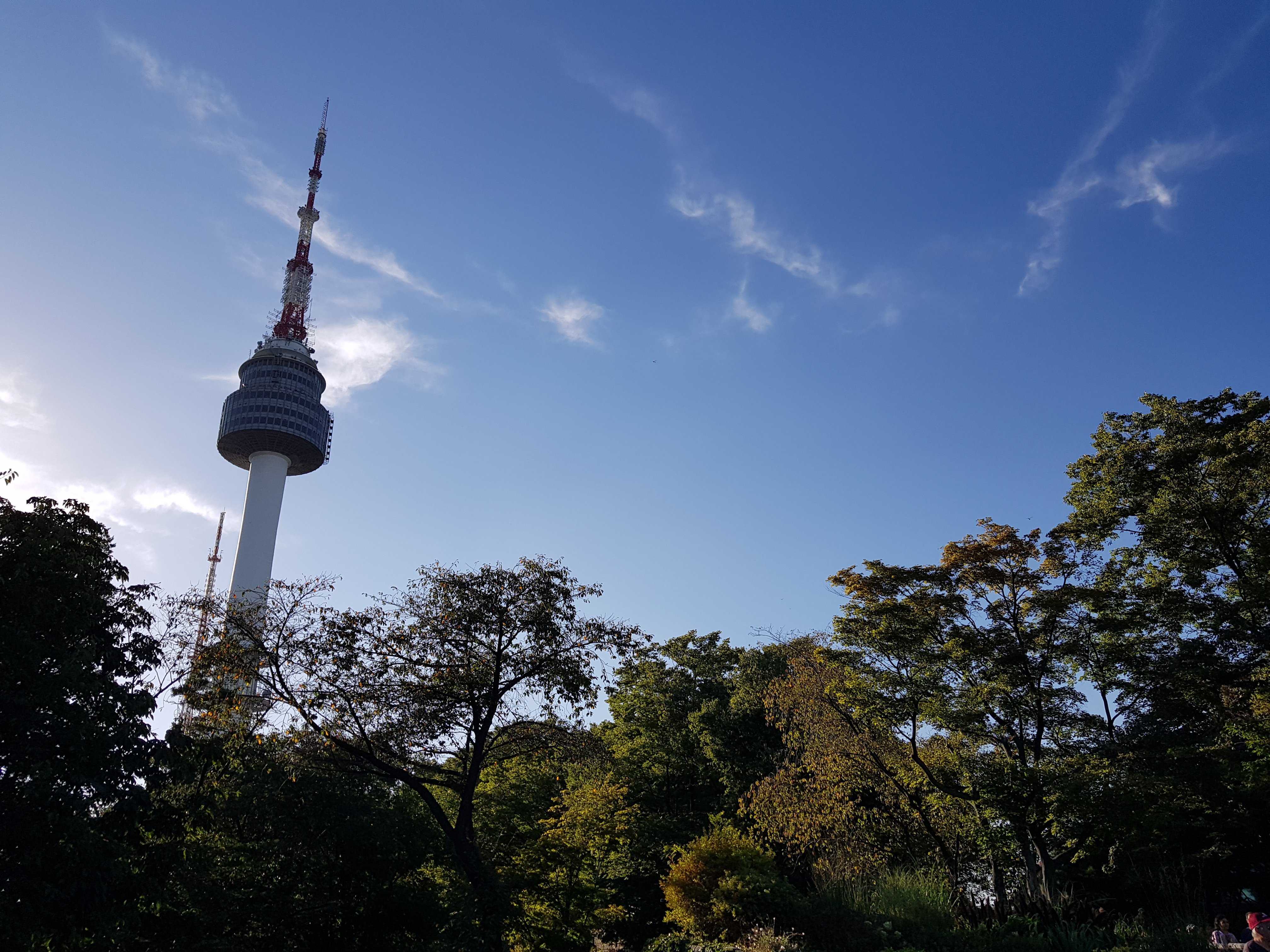 Seoul Full-Day City Tour: Palace, Tower & Traditional Villages