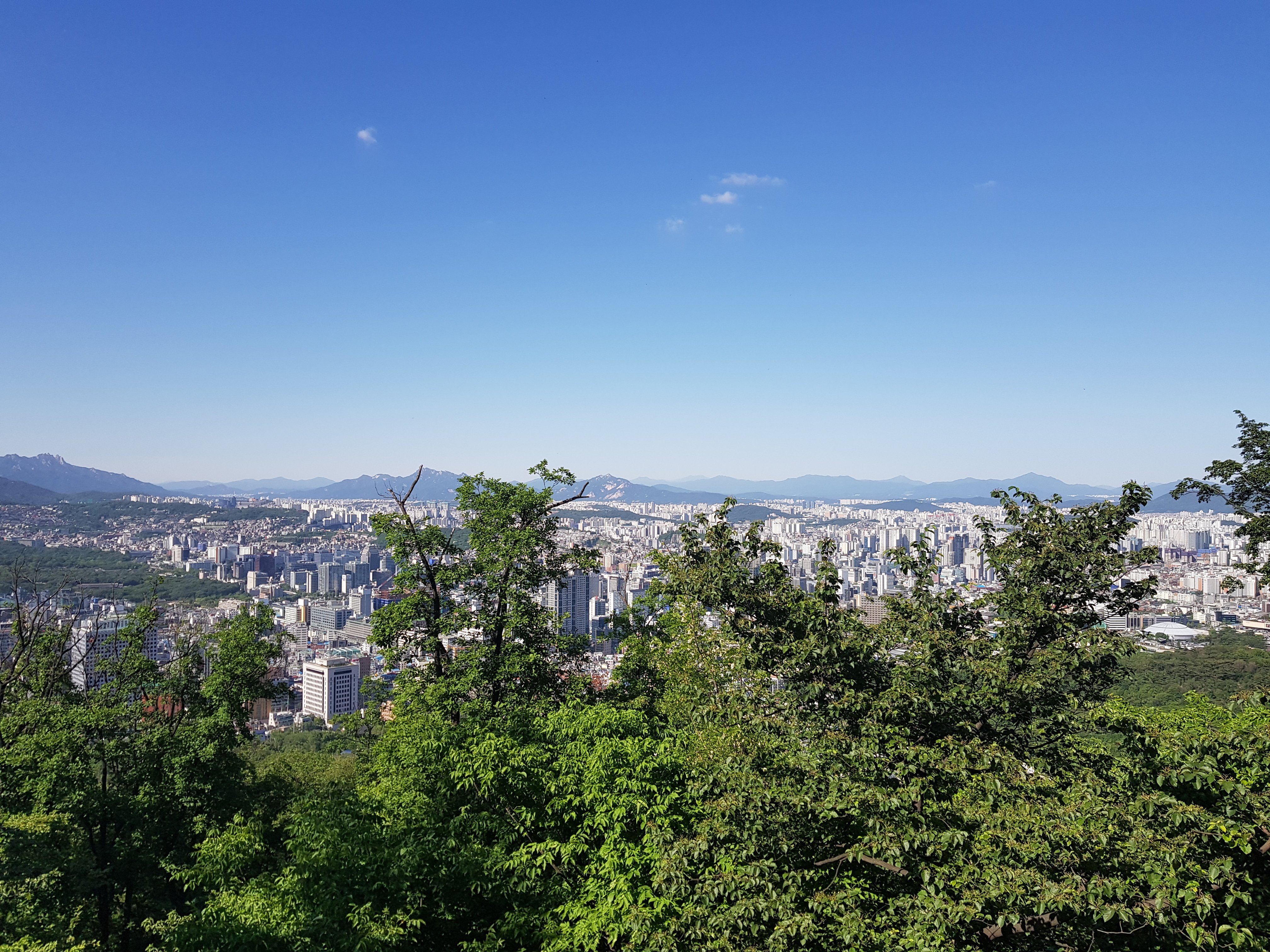 Seoul Full-Day City Tour: Palace, Tower & Traditional Villages