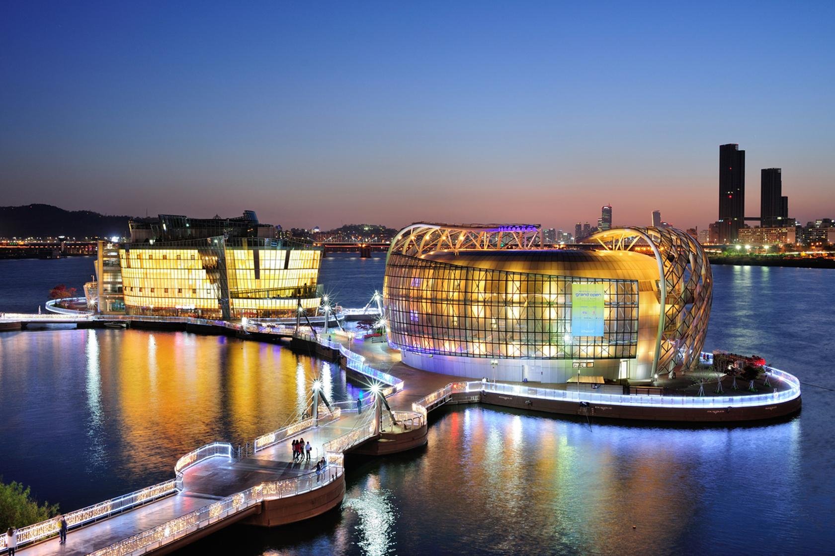 Seoul by Night: Moonlight Rainbow Fountain & Palace Tour