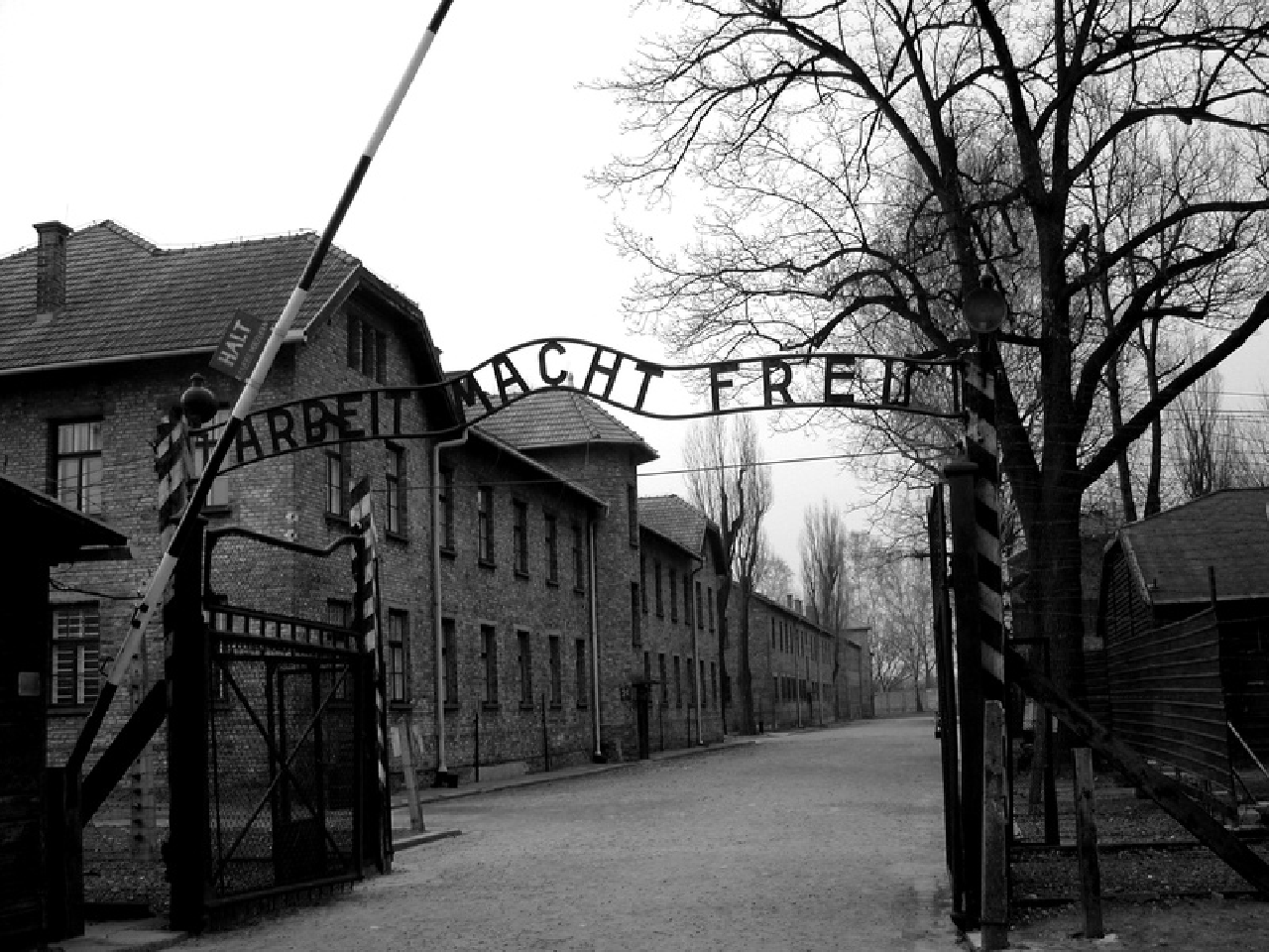 Full-Day Auschwitz-Birkenau and Wieliczka Salt Mine Combo Tour