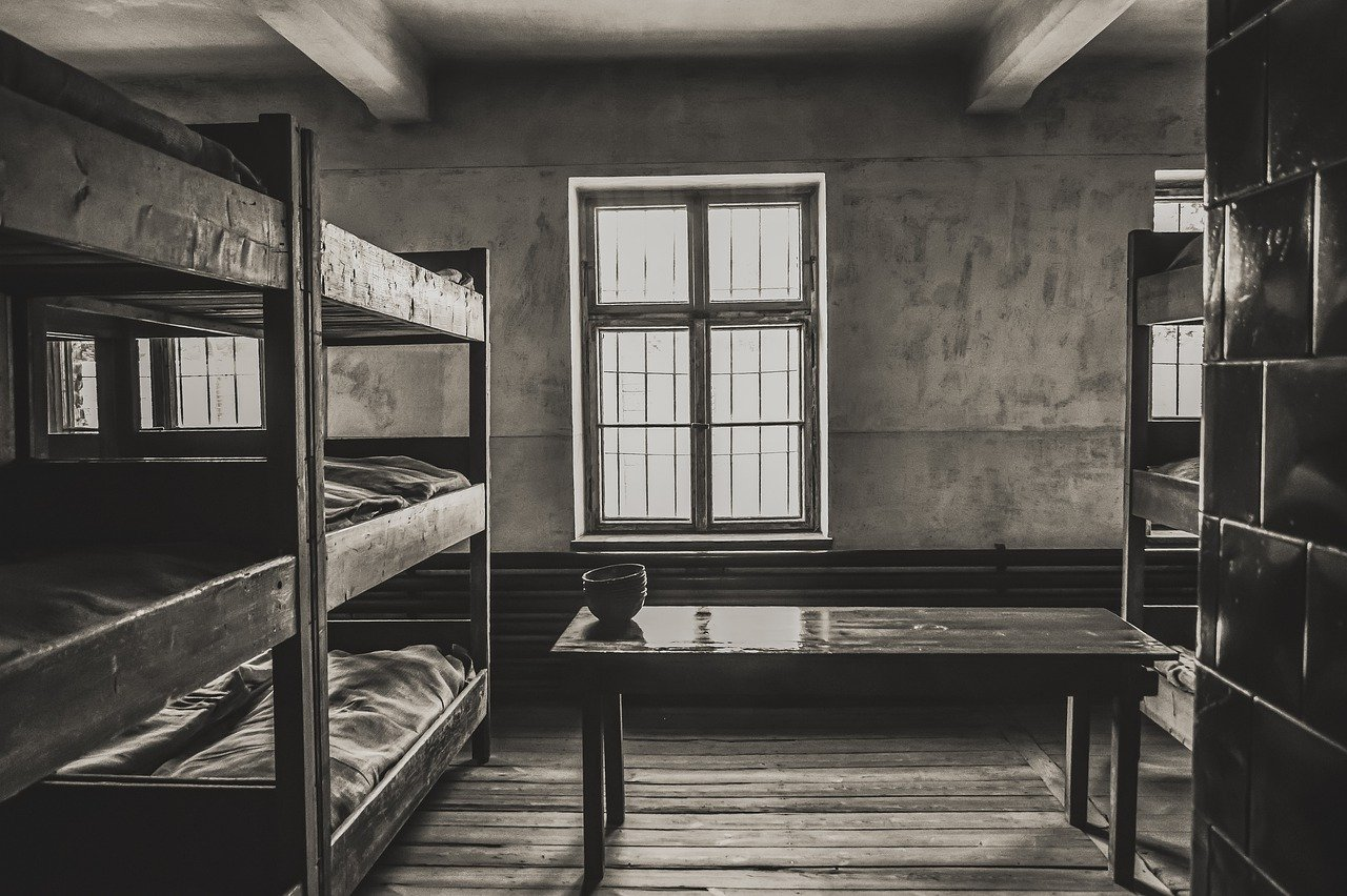 Full-Day Auschwitz-Birkenau and Wieliczka Salt Mine Combo Tour
