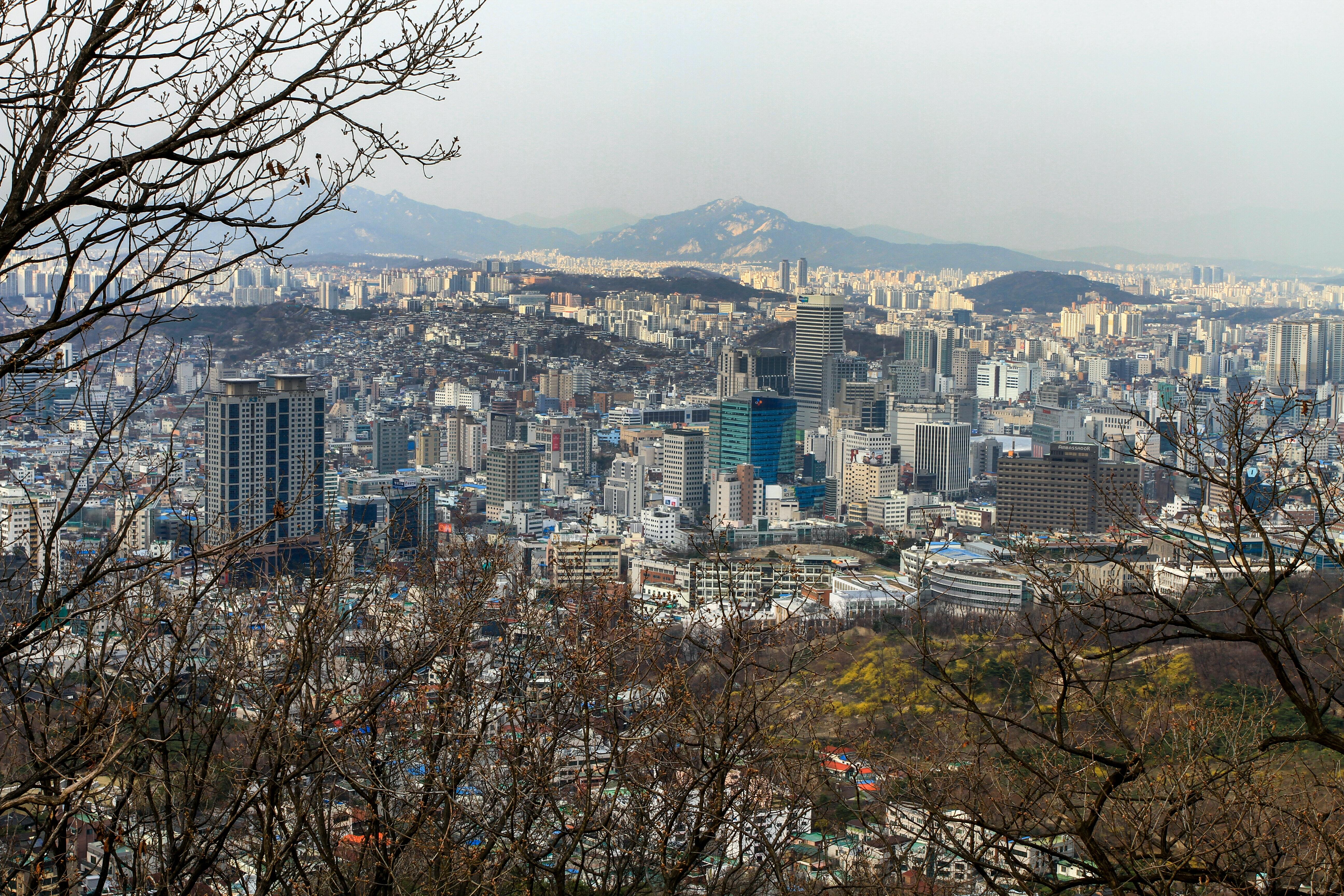 Seoul Full-Day City Tour: Palace, Tower & Traditional Villages