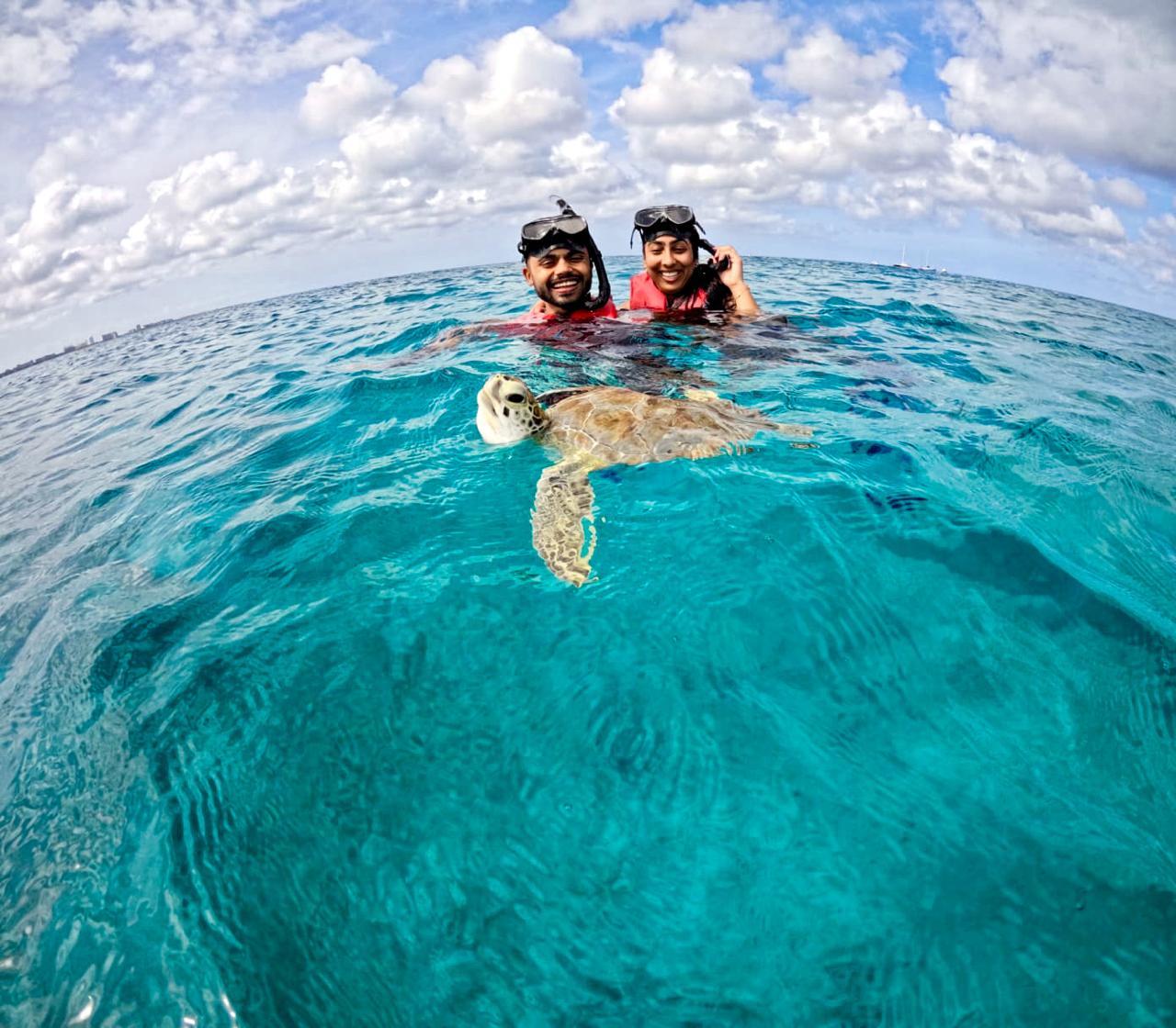Private Turtle Snorkel Tour in Aruba with Video