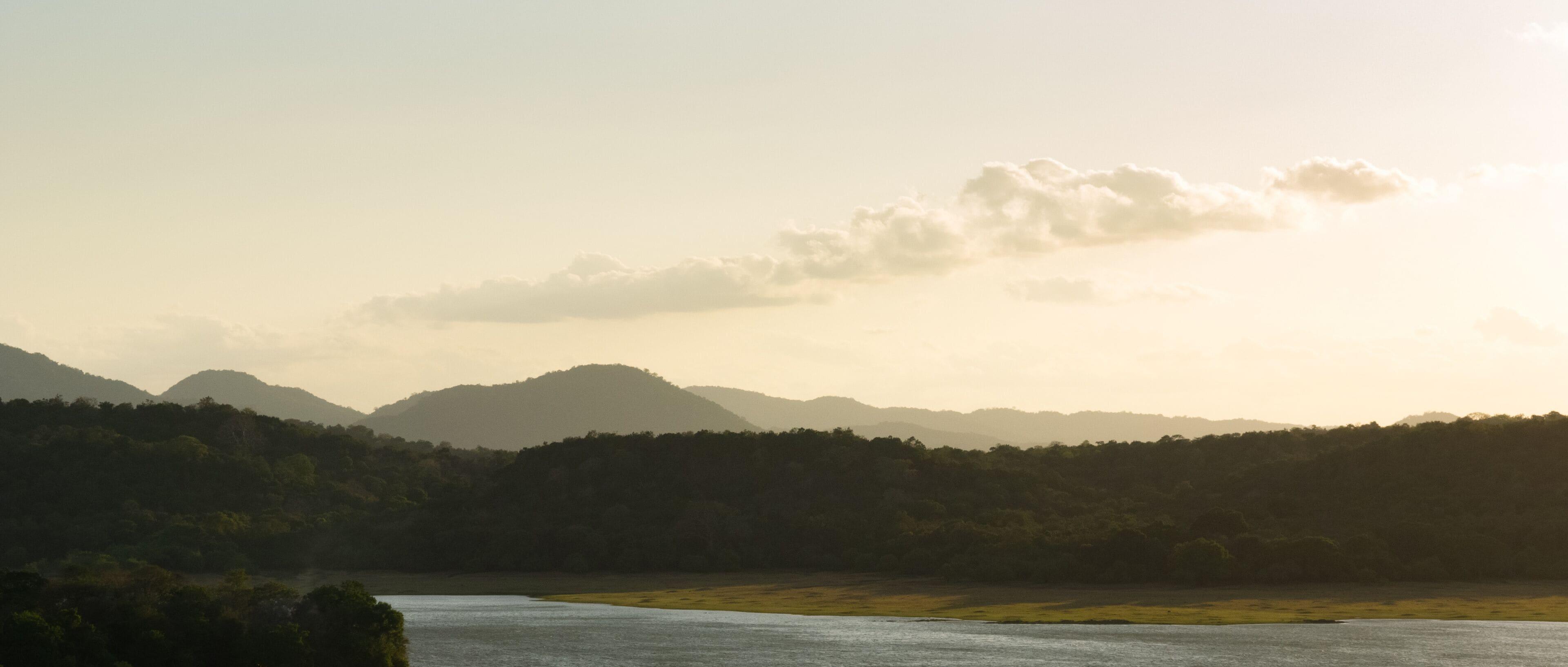 7-Day Private Sri Lanka Heritage & Wildlife Safari