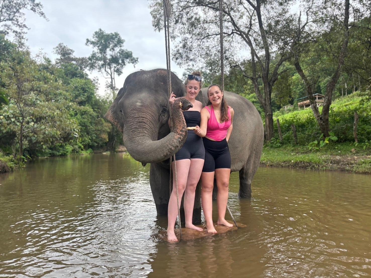 Chiang Mai Elephant Sanctuary & Waterfall Adventure