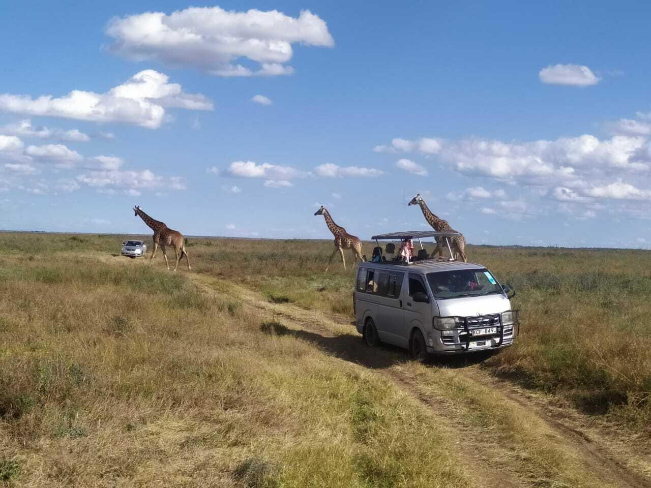 Lake Nakuru National Park Wildlife Safari from Nairobi