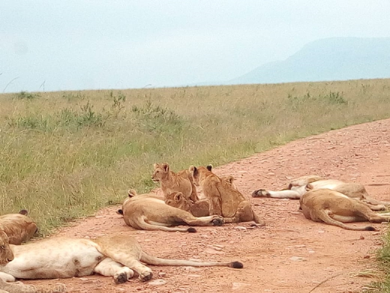 Lake Nakuru National Park Wildlife Safari from Nairobi