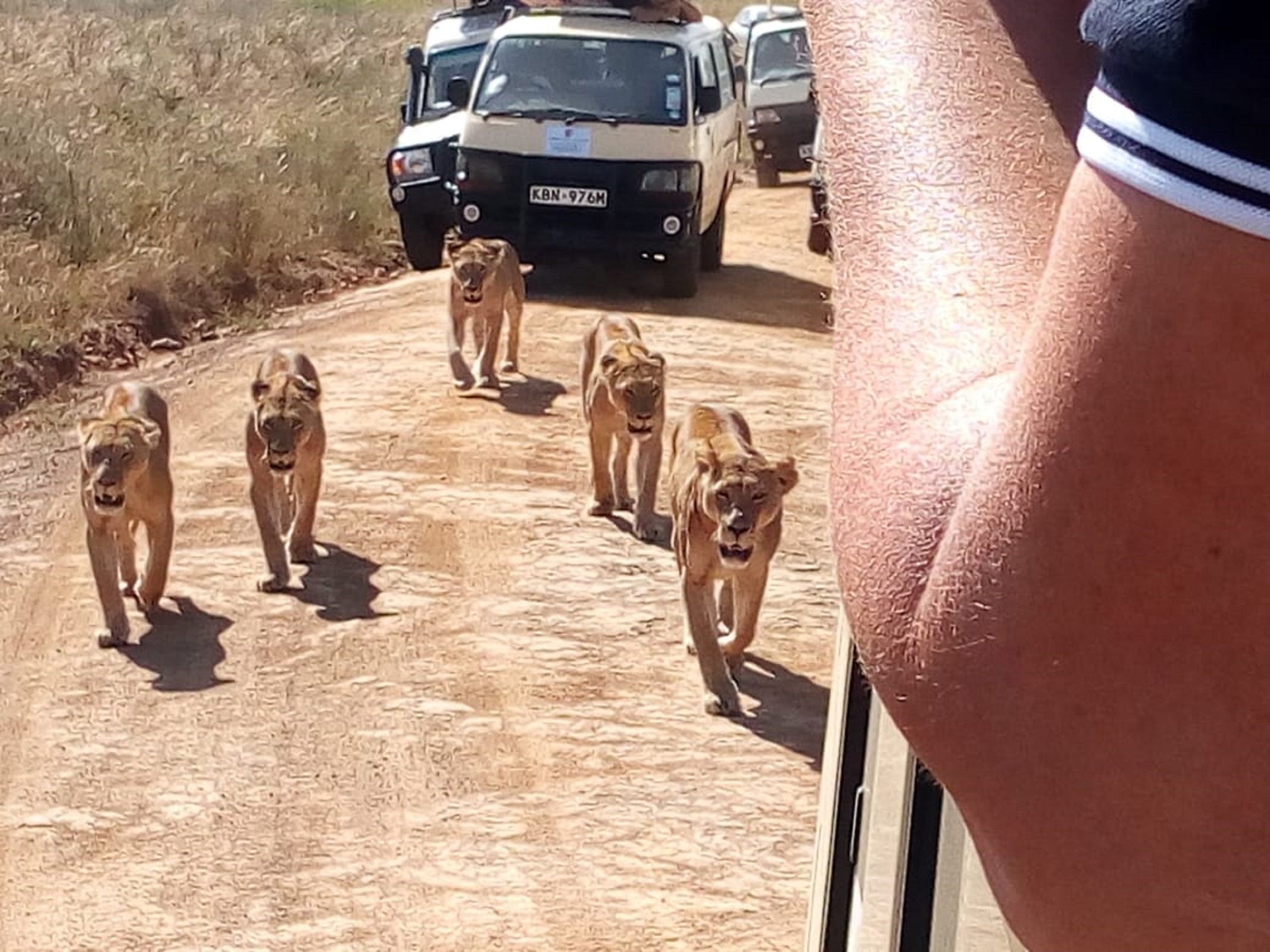 Lake Nakuru National Park Wildlife Safari from Nairobi