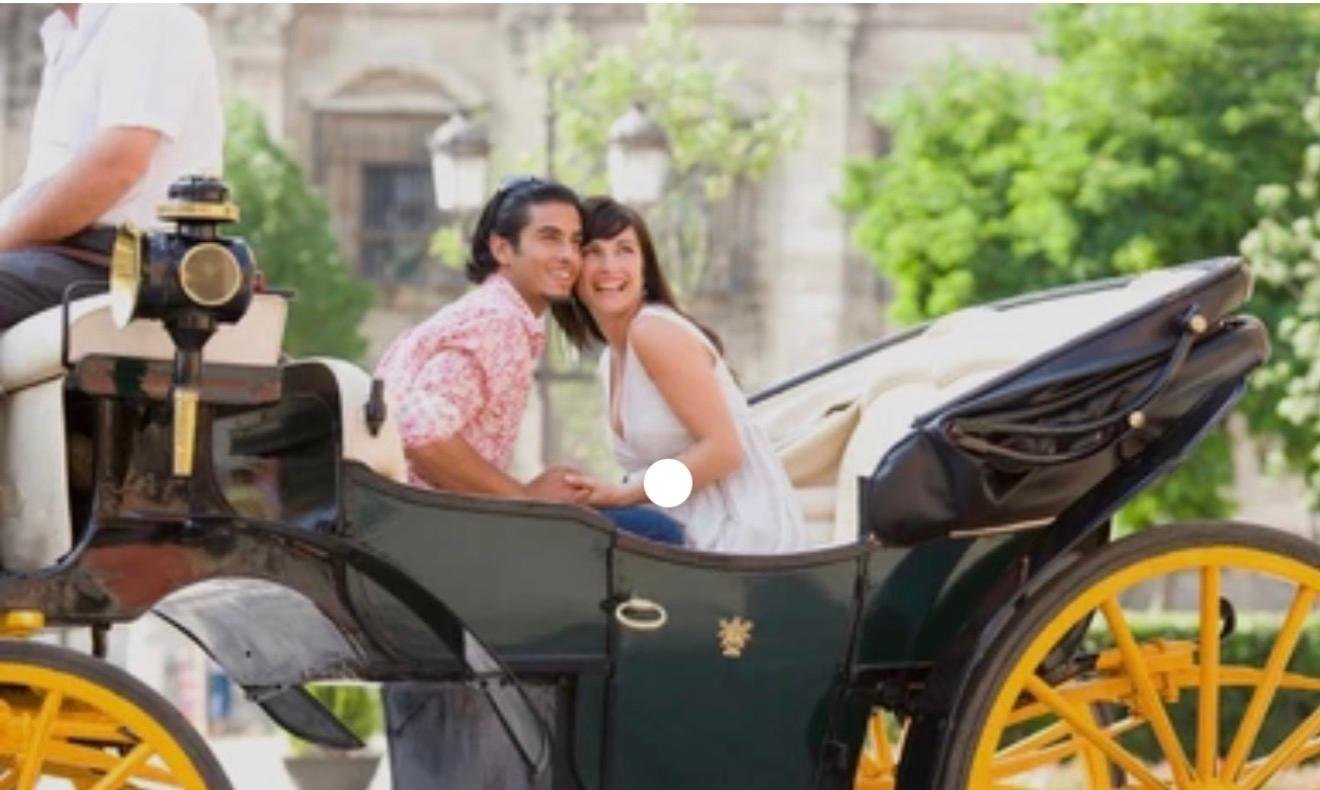 Private Central Park Horse Carriage Tour with Guide
