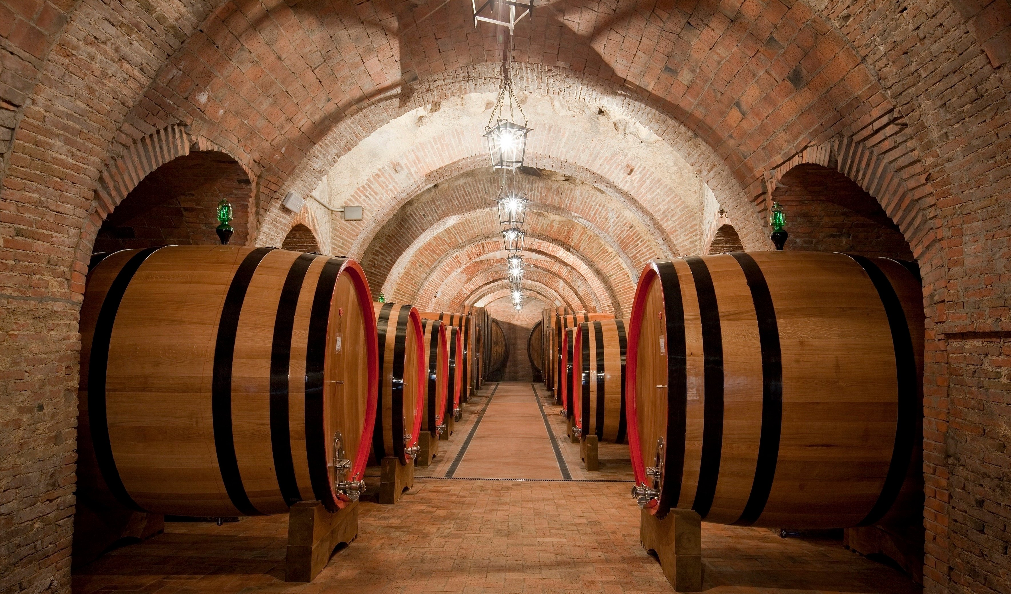 Montepulciano: Wine Tasting & Lunch in a Typical Winery