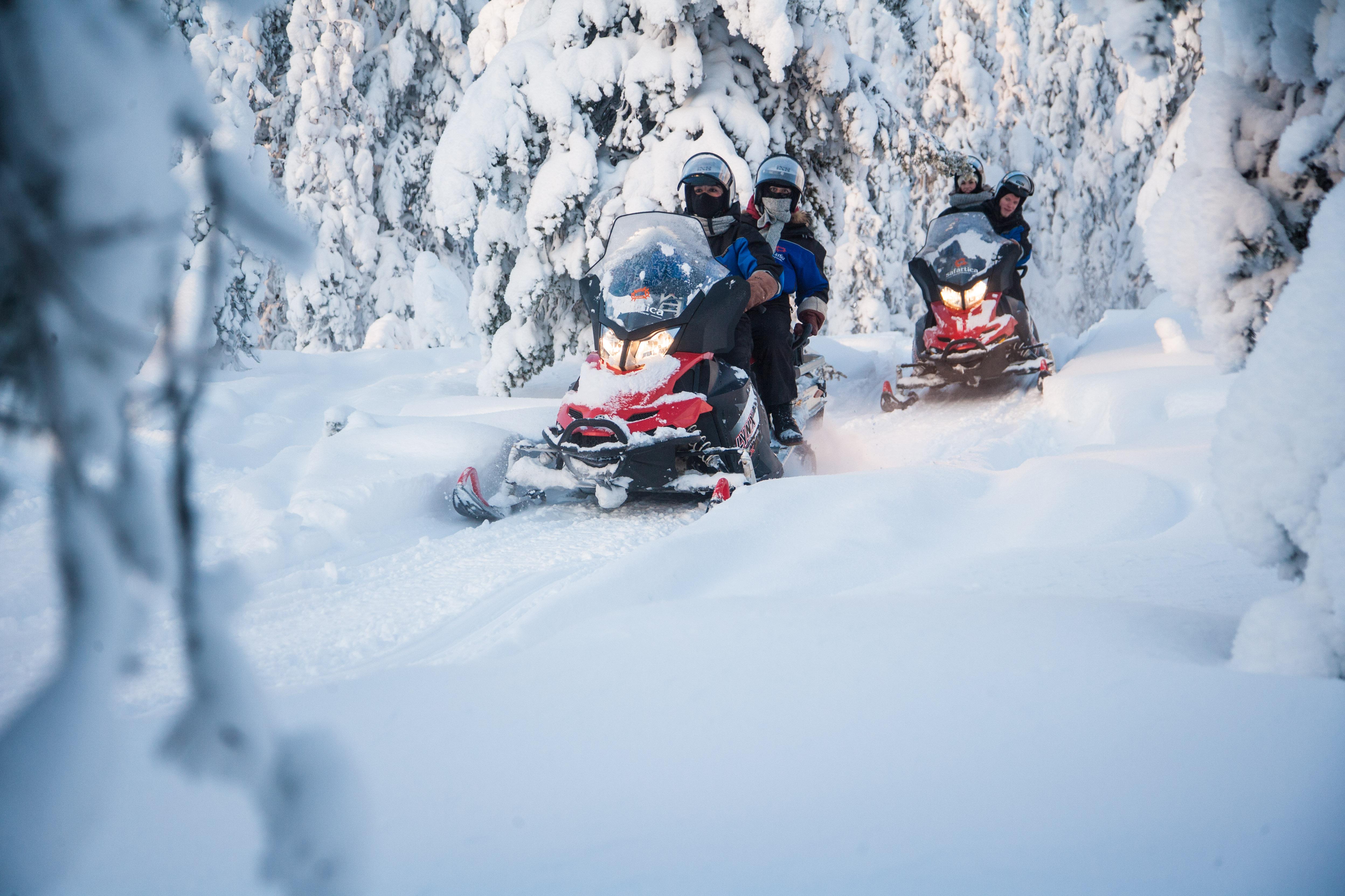 Rovaniemi Arctic Day: Santa's Village, Snowmobile Safari & Reindeer Farm