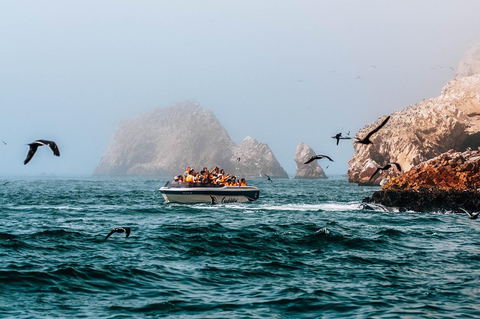 Tour di 2 giorni a Paracas, Isole Ballestas e oasi nel deserto di Huacachina
