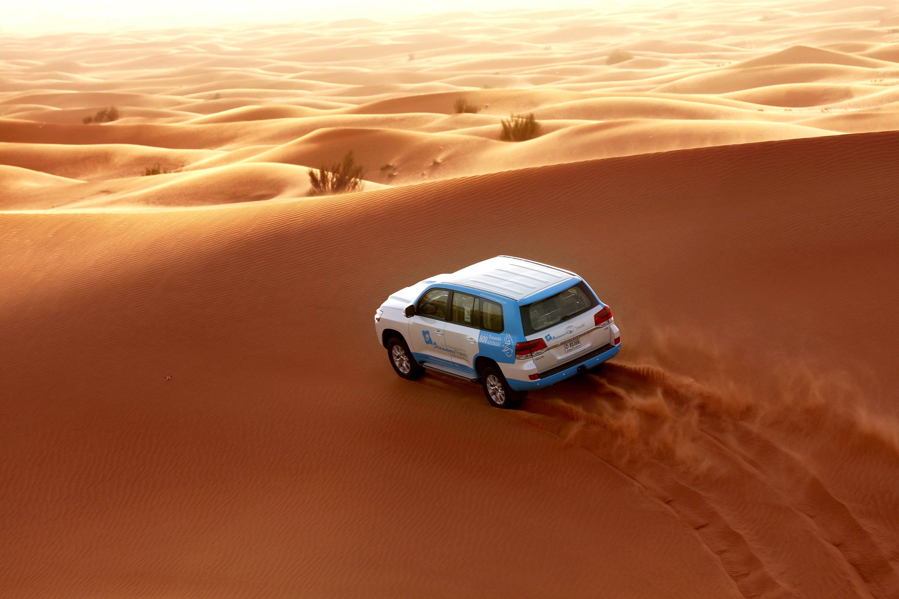 Abu Dhabi Morning Desert Safari: Dune Bashing, Sandboarding & Camel Ride