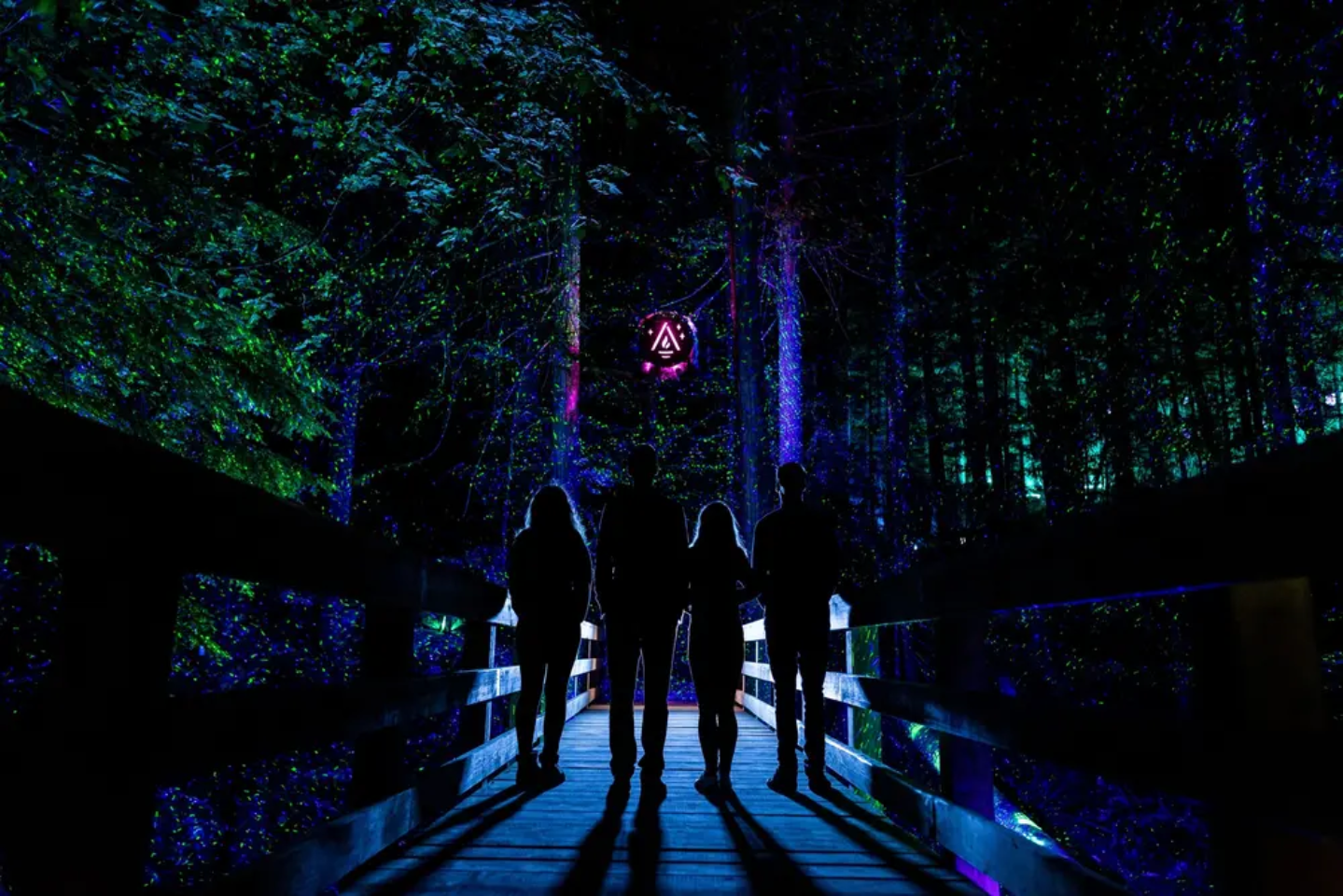 Vallea Lumina Multimedia Night Walk