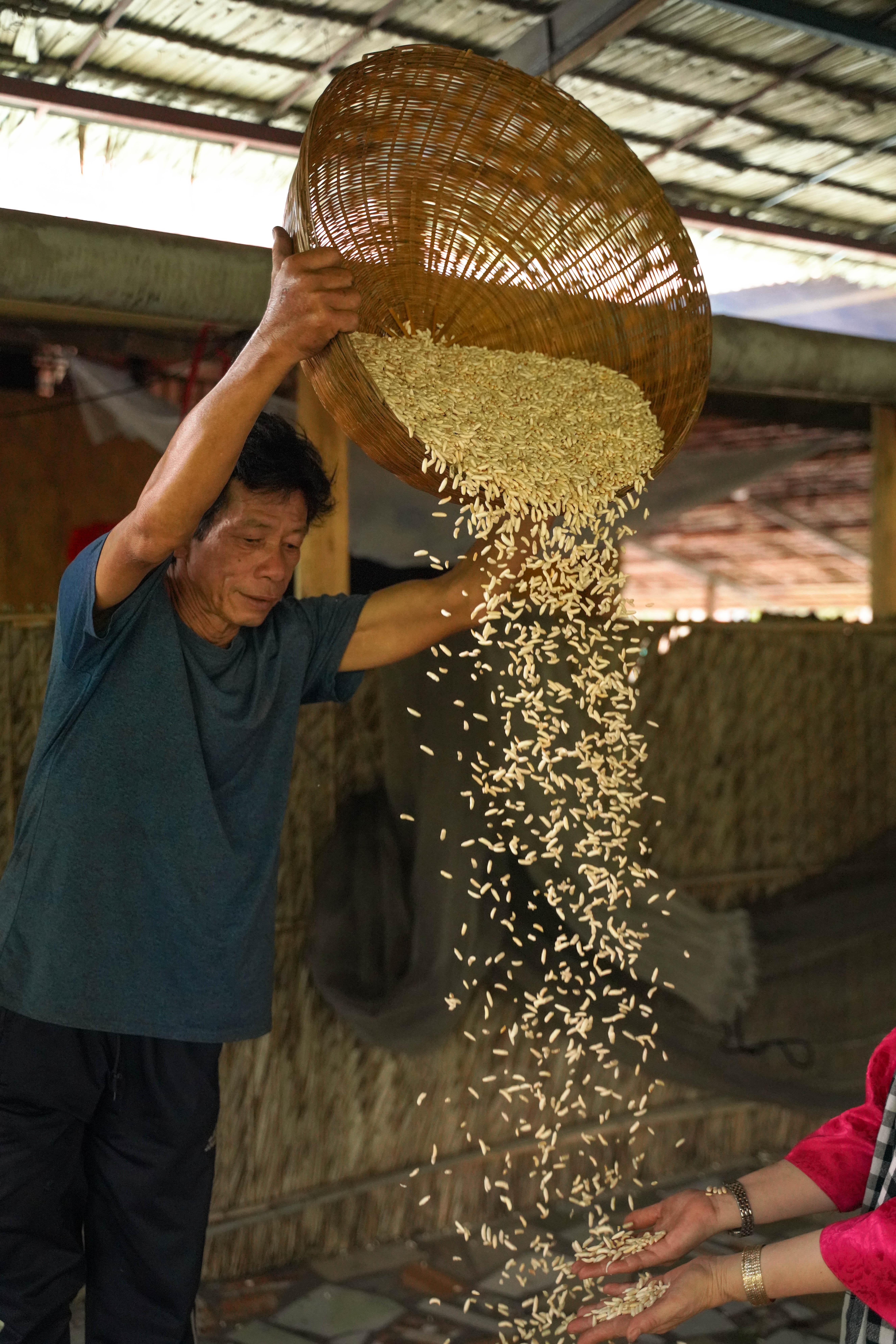 3-Day Mekong Delta Expedition: Ho Chi Minh to Phnom Penh