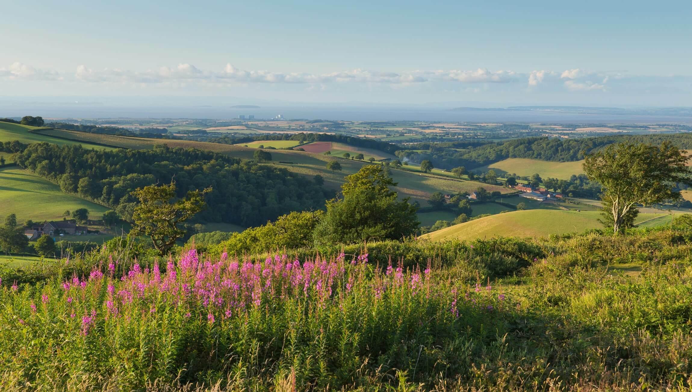 Canterbury, Dover & Kent Coast Day Trip from London
