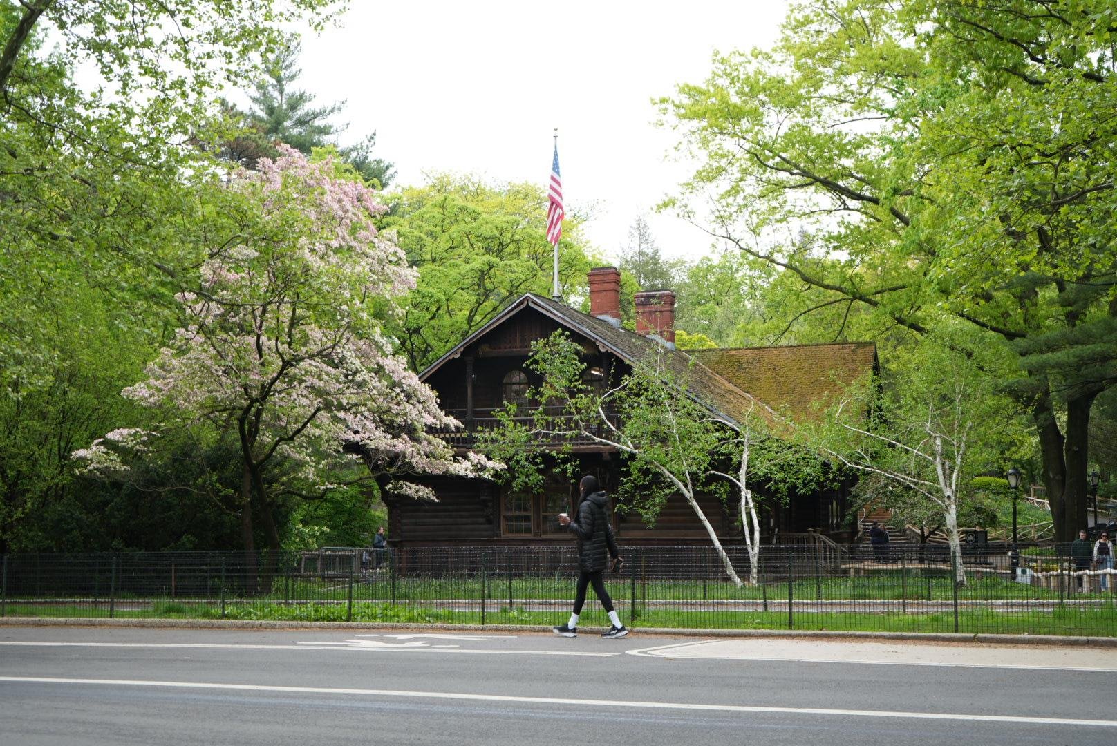 Central Park Exploration by Pedicab or Carriage