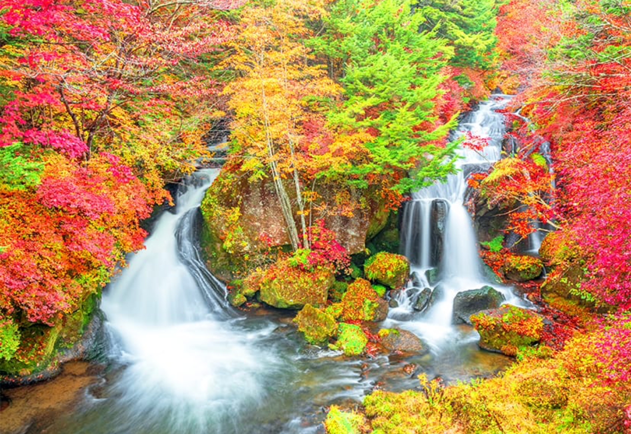 Nikko Private Day Trip from Tokyo with English Guide